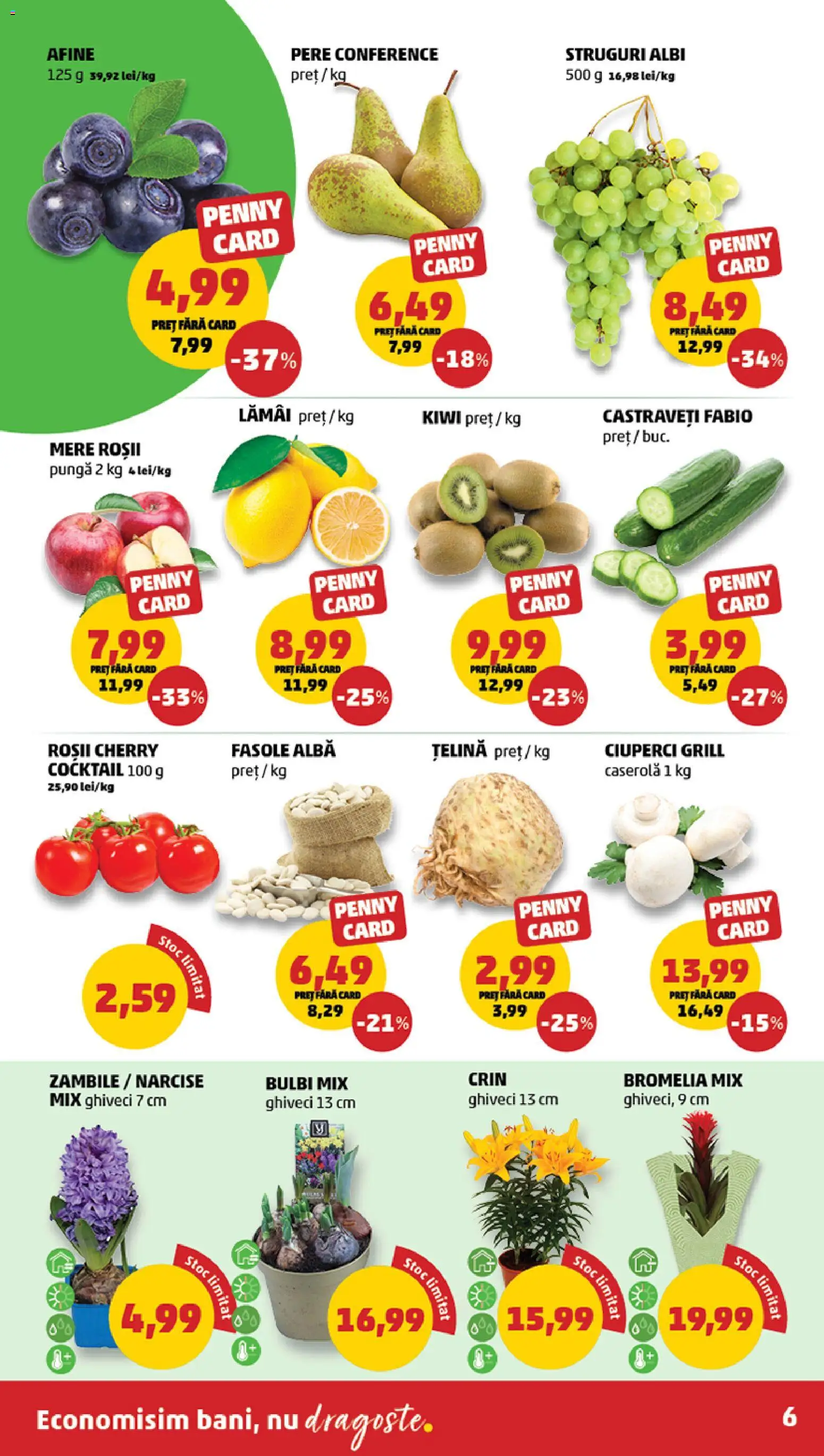 Catalog PENNY Market 4 - 9 Februarie 2026 | Pagina 6 | Produse: Pungă, Bromelia, Mere, Castraveți
