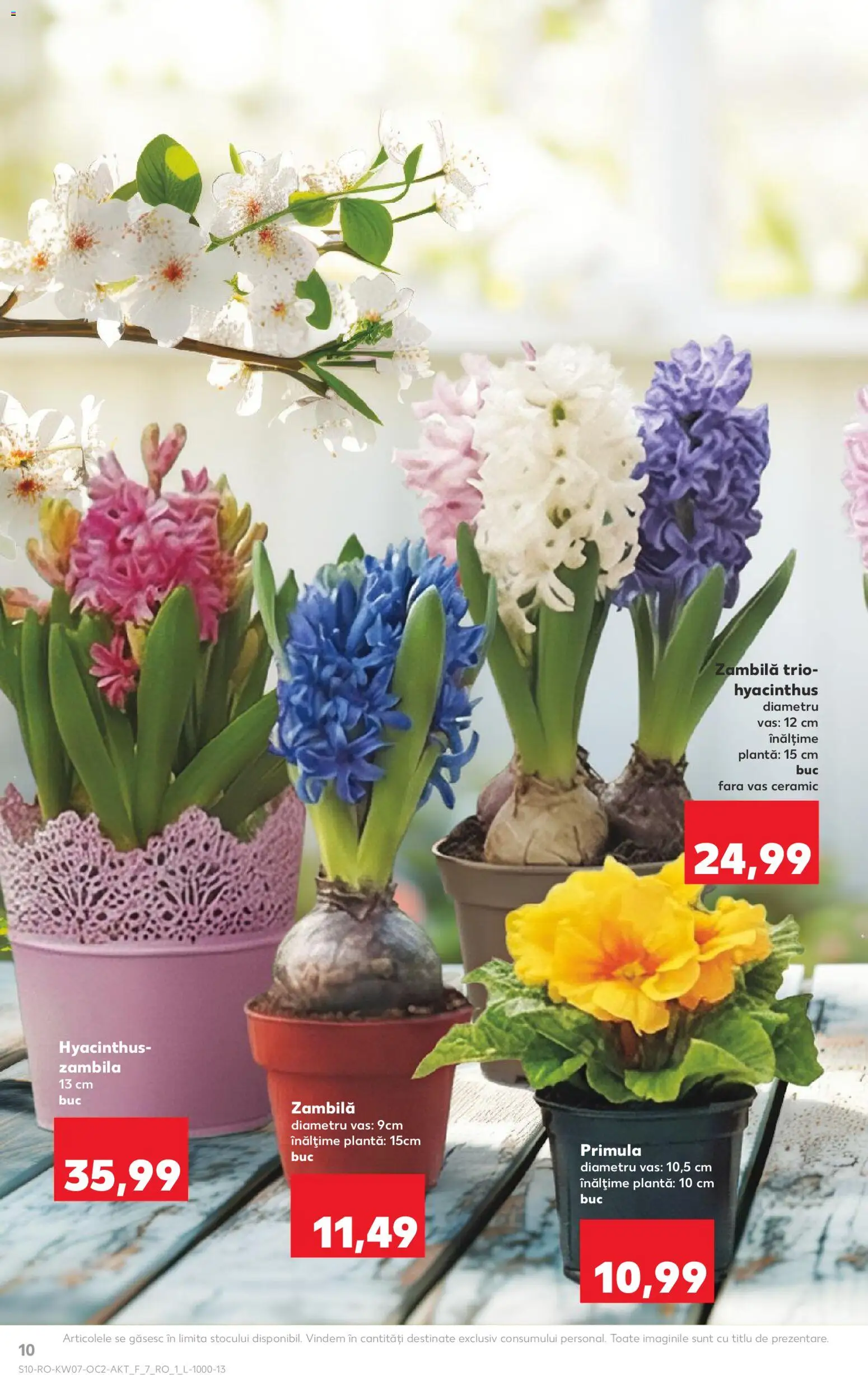 Catalog Kaufland 11 - 16 Februarie 2026 | Pagina 10