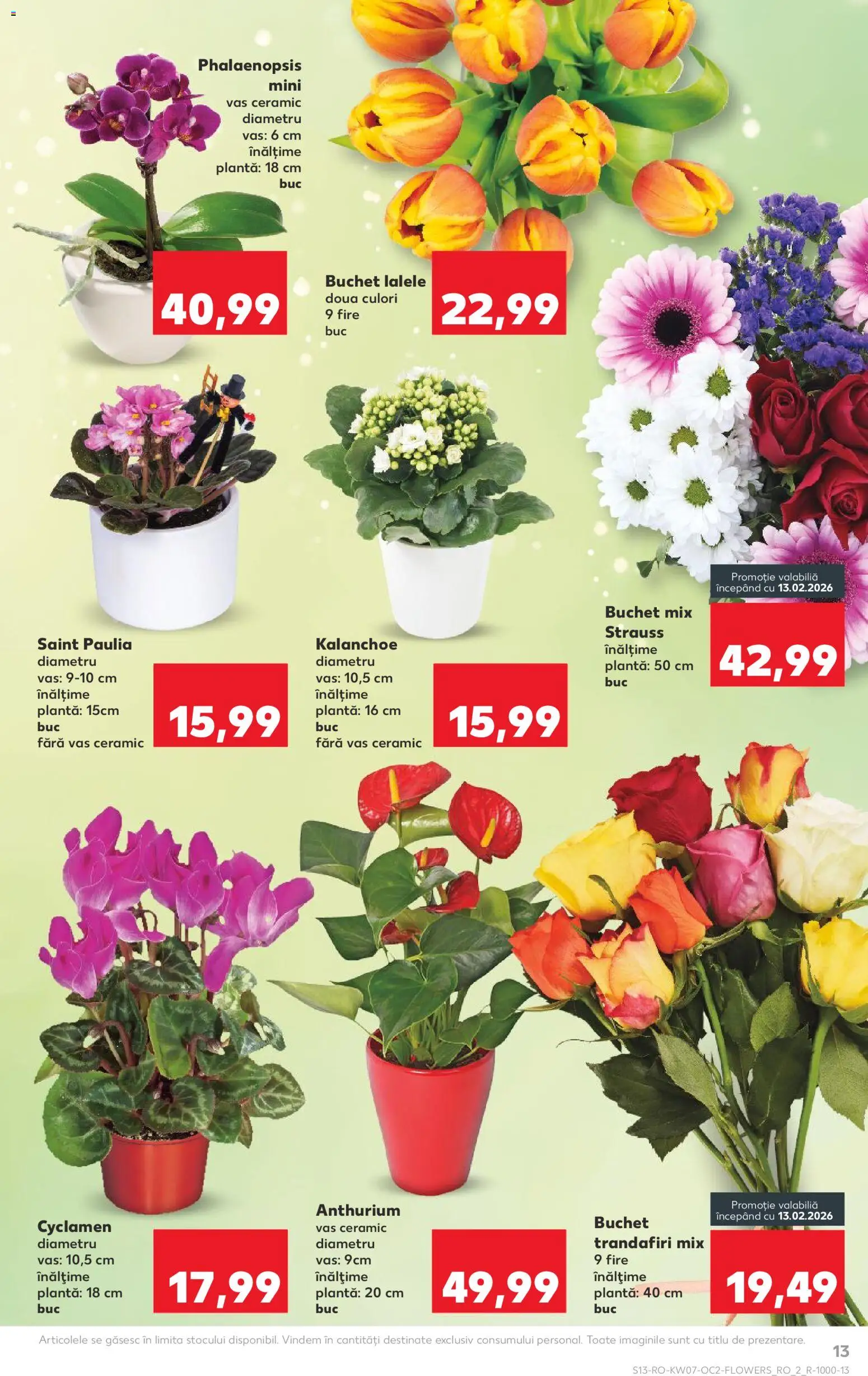 Catalog Kaufland 11 - 16 Februarie 2026 | Pagina 13