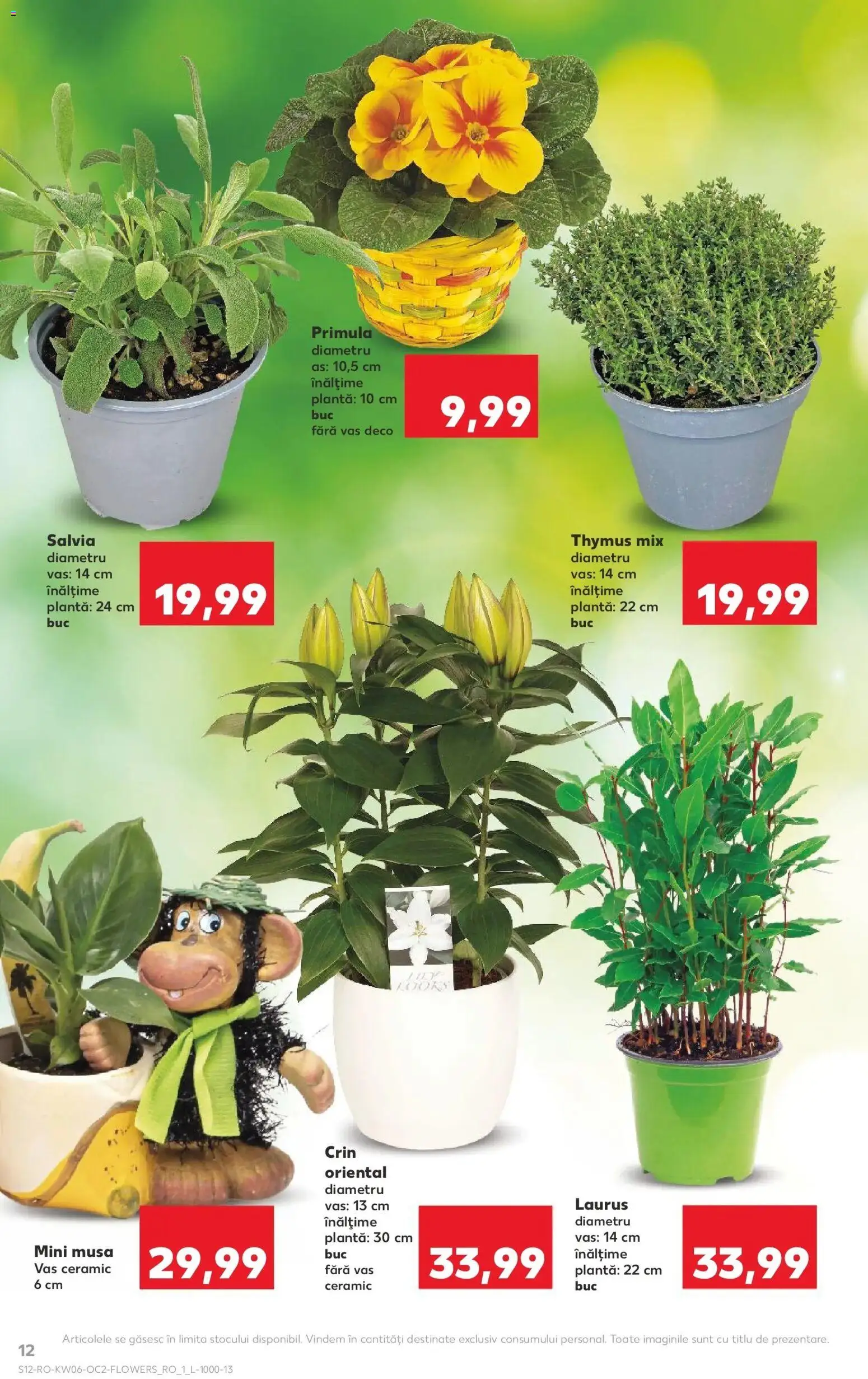Catalog Kaufland 4 - 9 Februarie 2026 | Pagina 12