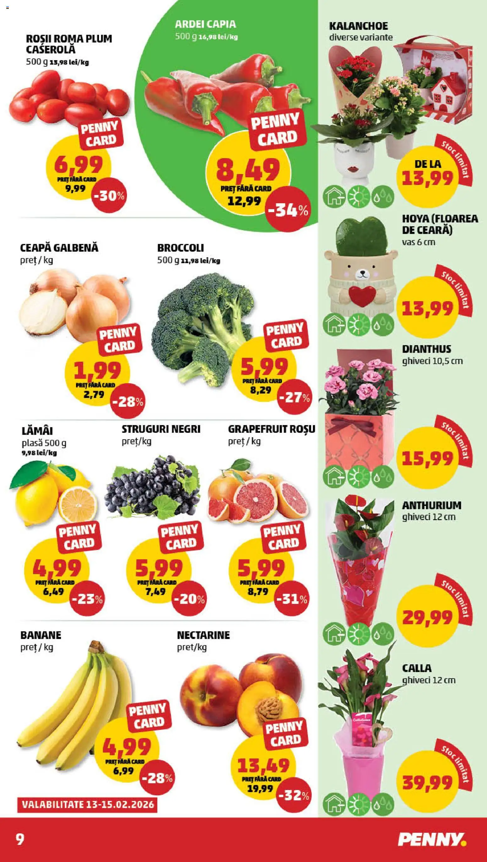 Catalog PENNY Market 11 - 16 Februarie 2026 | Pagina 9 | Produse: Temizlik kovası, Ceapă galbenă, Banane, Ceapă