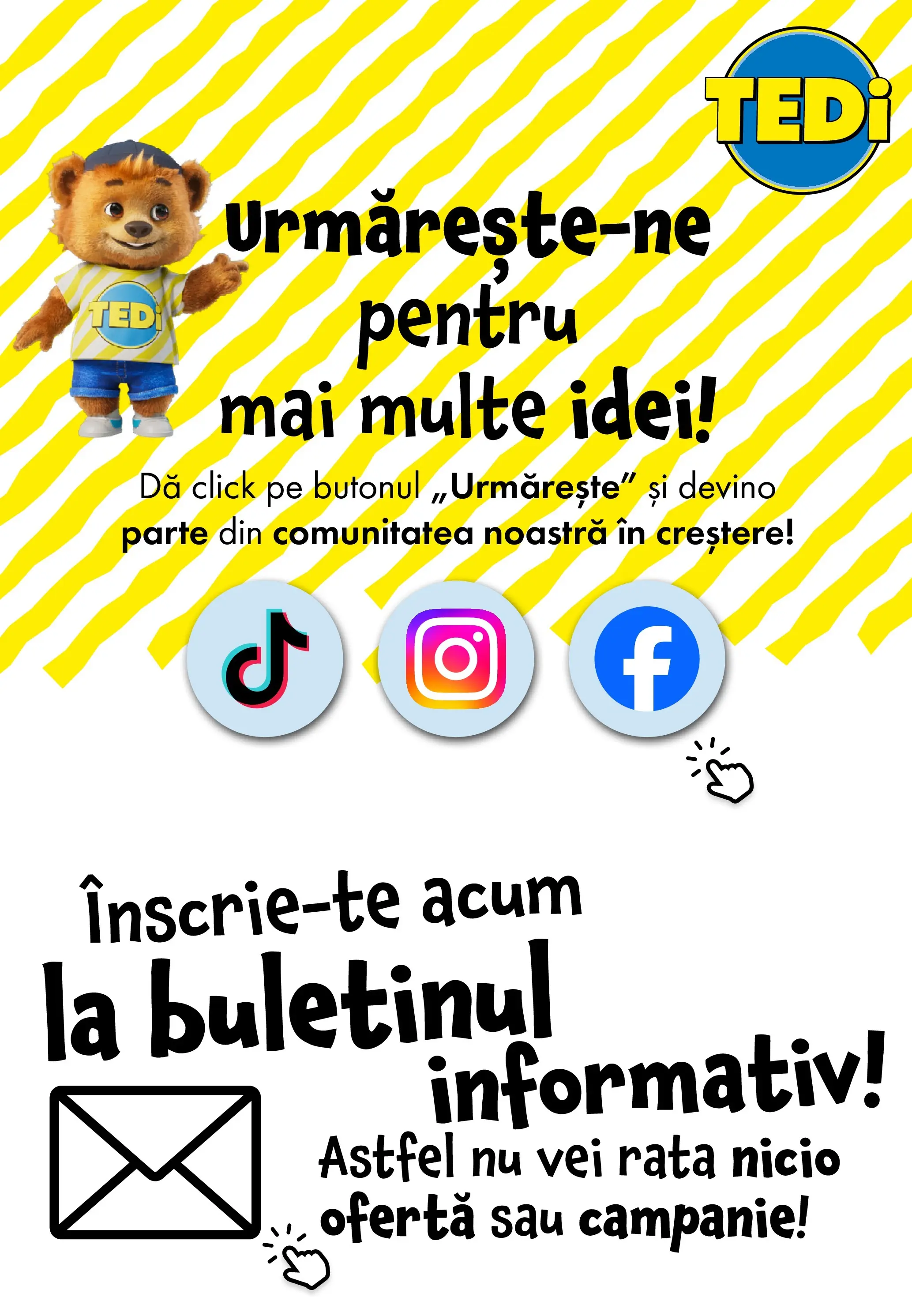 Catalog TEDi 13 - 21 Februarie 2026 | Pagina 14 | Produse: Rață