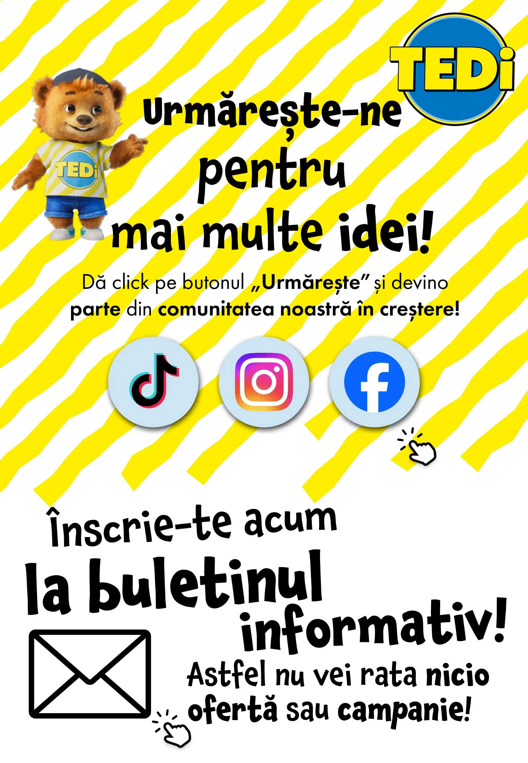 Catalog TEDi 16 - 22 Februarie 2026 | Pagina 11 | Produse: Rață