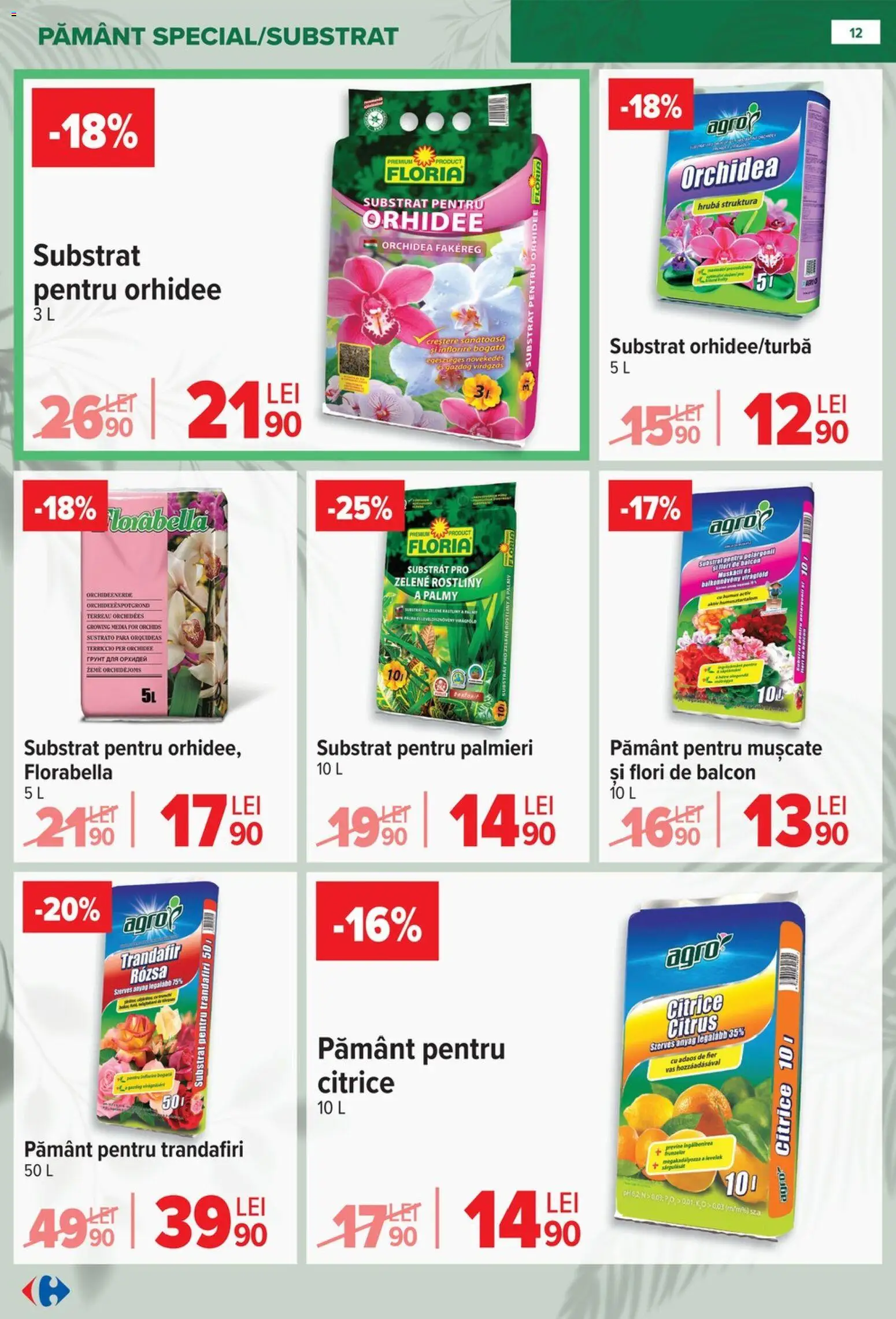 Catalog Carrefour 11 Februarie - 13 Aprilie 2026 | Pagina 12 | Produse: Pară, Trandafir, Orhidee