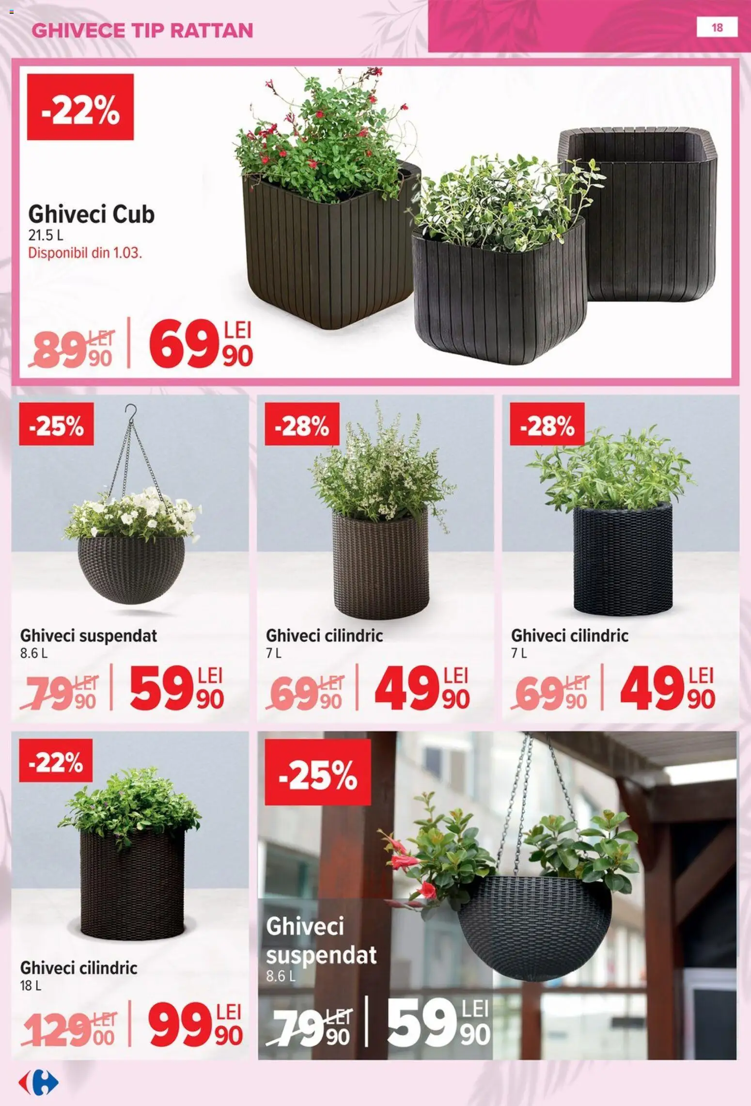 Catalog Carrefour 11 Februarie - 13 Aprilie 2026 | Pagina 18 | Produse: Ghiveci