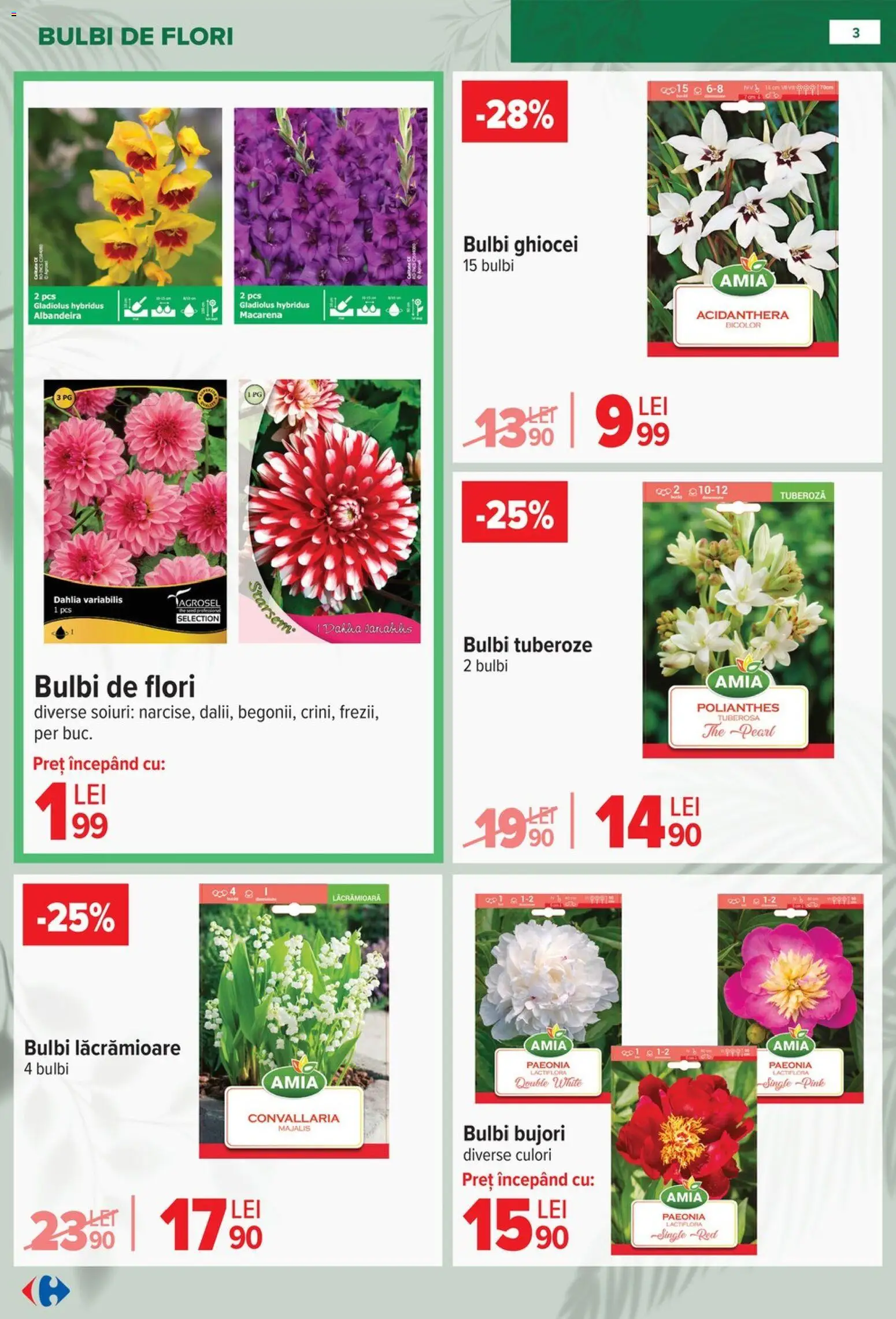 Catalog Carrefour 11 Februarie - 13 Aprilie 2026 | Pagina 3