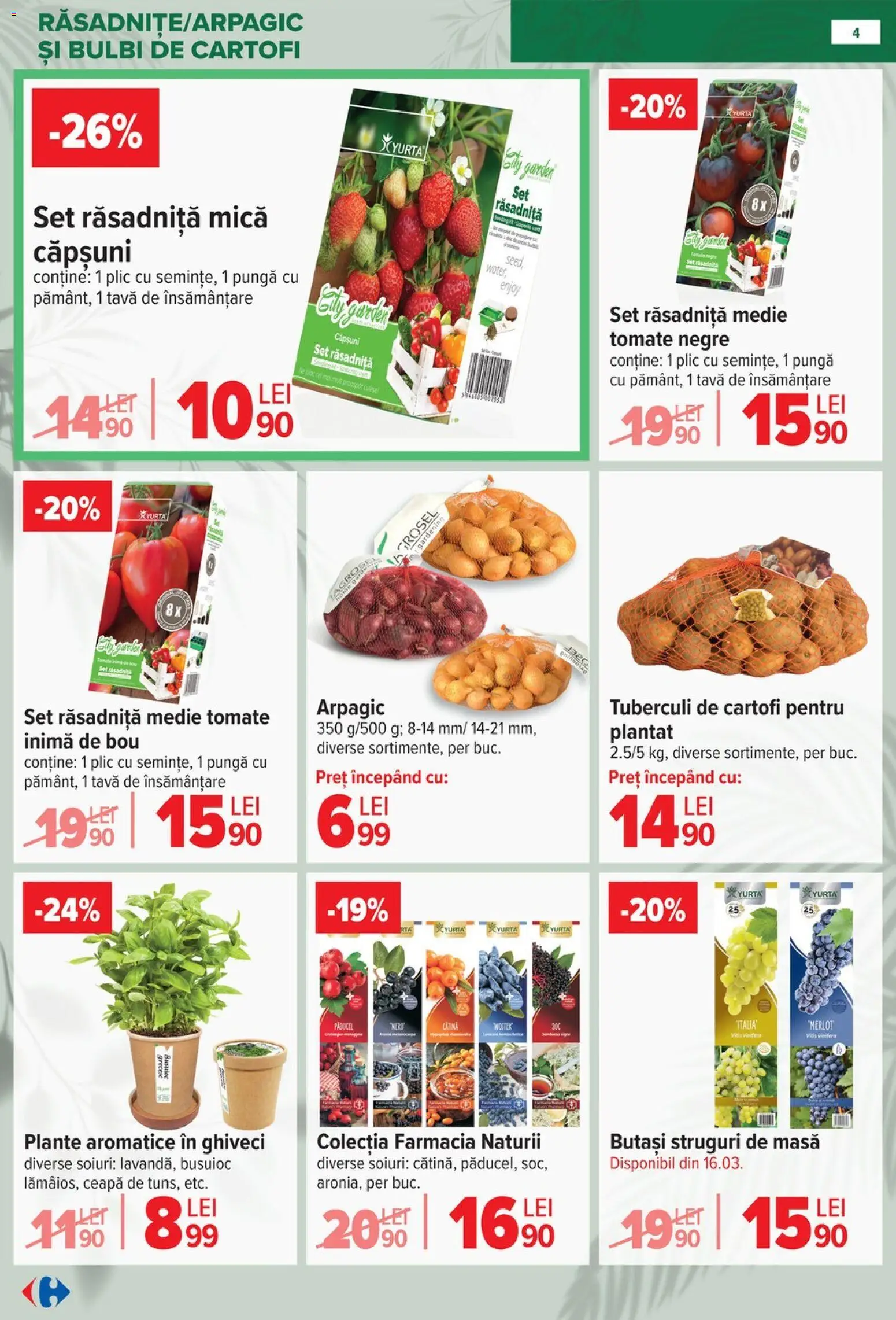 Catalog Carrefour 11 Februarie - 13 Aprilie 2026 | Pagina 4 | Produse: Struguri, Ghiveci, Demirhindi, Cartofi