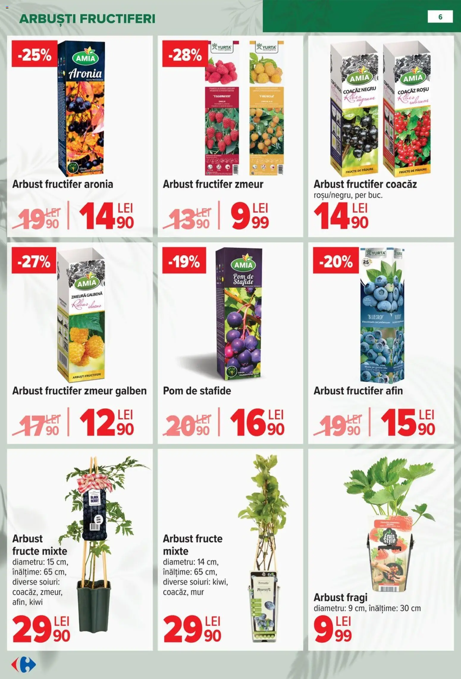 Catalog Carrefour 11 Februarie - 13 Aprilie 2026 | Pagina 6 | Produse: Zmeură, Kiwi, Stafide, Fructe