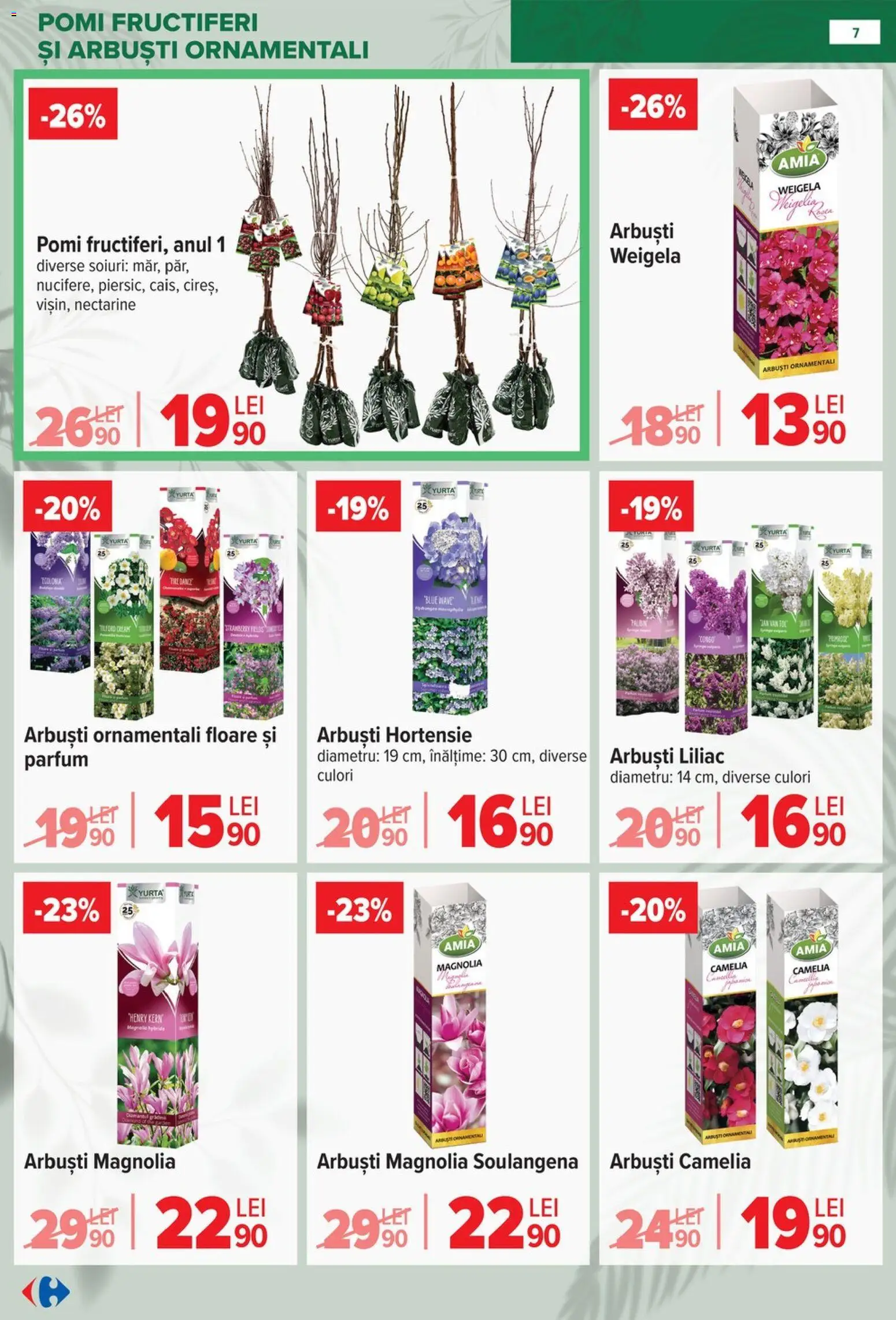 Catalog Carrefour 11 Februarie - 13 Aprilie 2026 | Pagina 7 | Produse: Temizlik kovası, Parfum