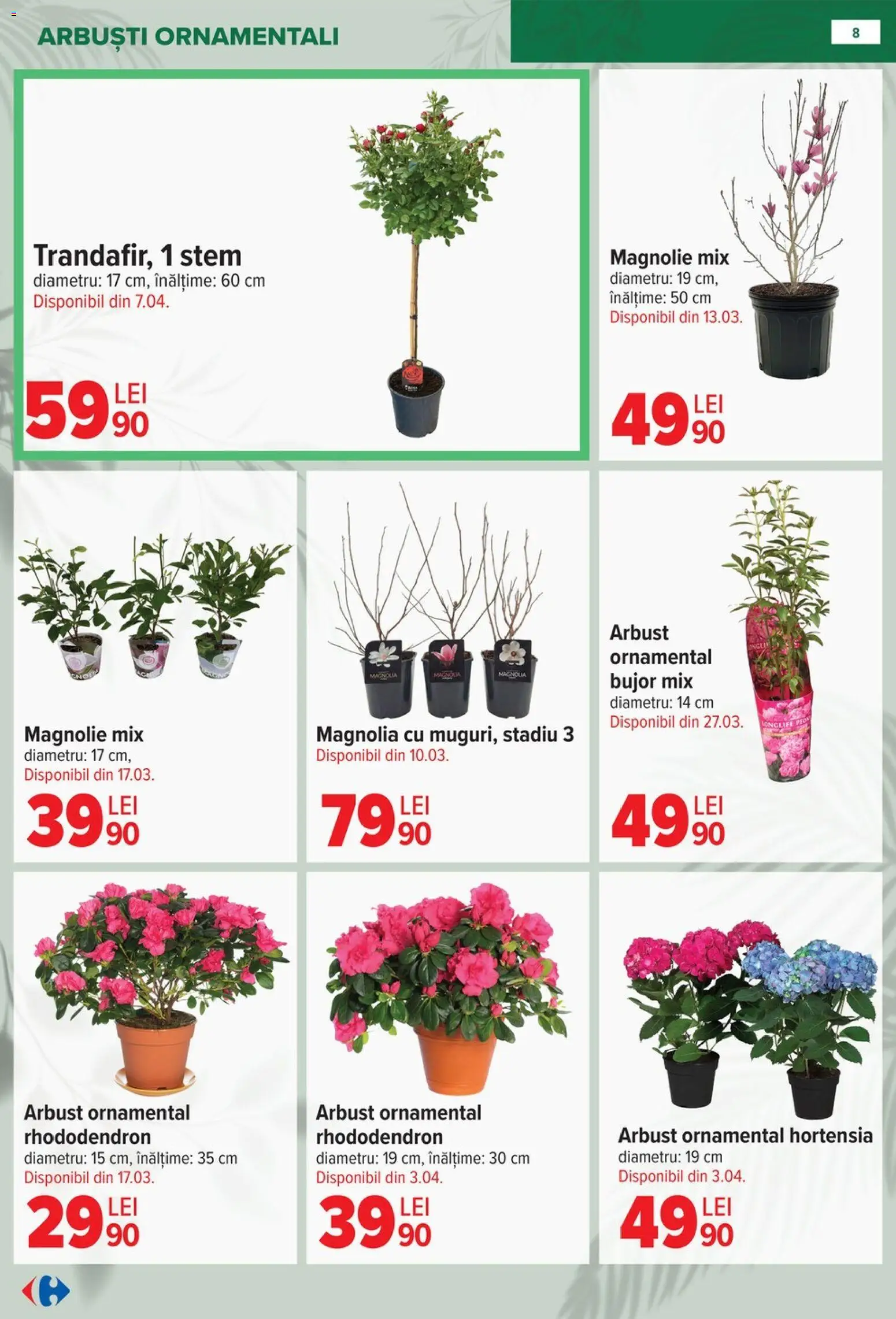 Catalog Carrefour 11 Februarie - 13 Aprilie 2026 | Pagina 8