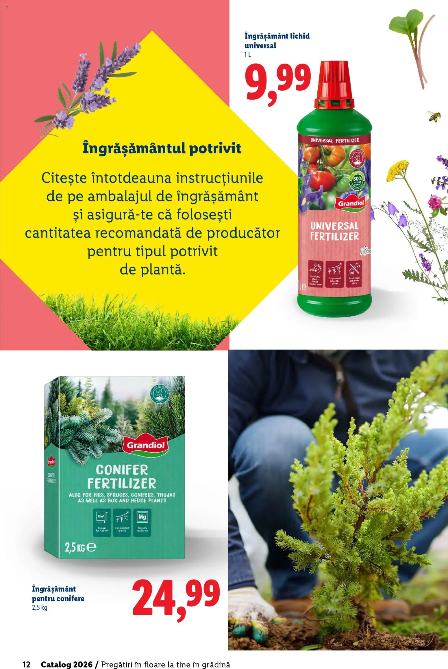 Catalog LIDL 19 Februarie - 4 Aprilie 2026 | Pagina 12