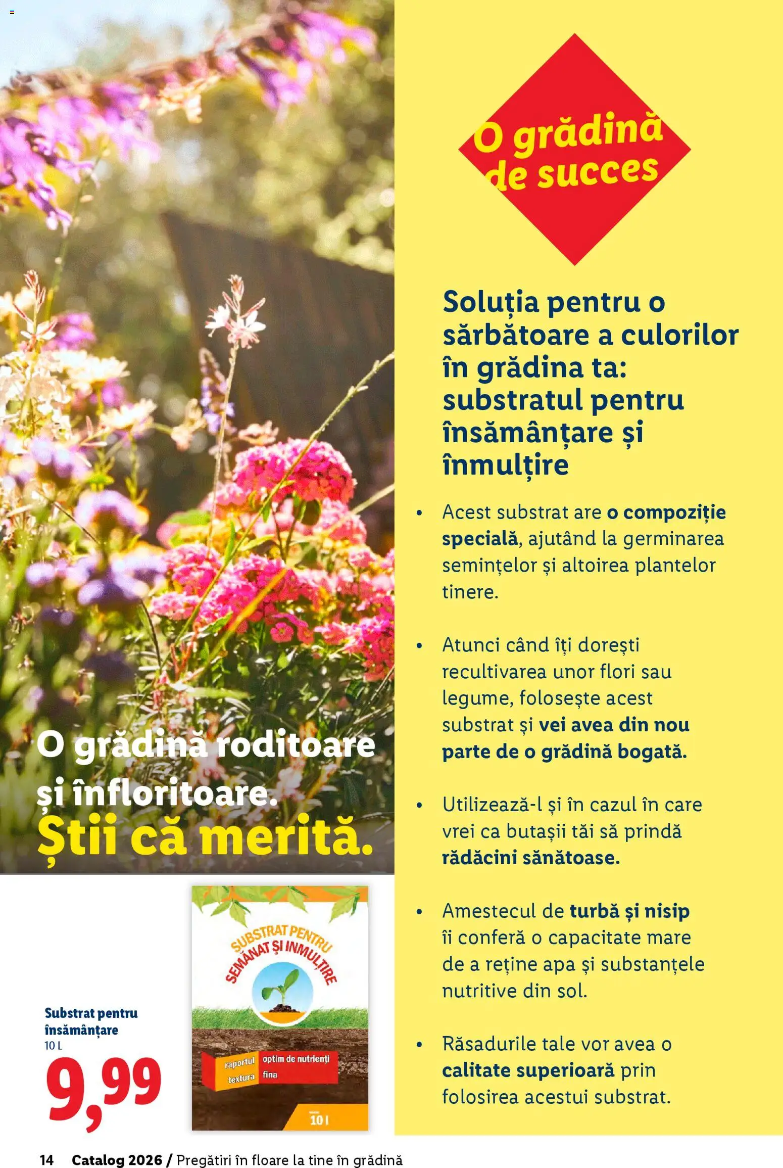 Catalog LIDL 19 Februarie - 4 Aprilie 2026 | Pagina 14 | Produse: Apă