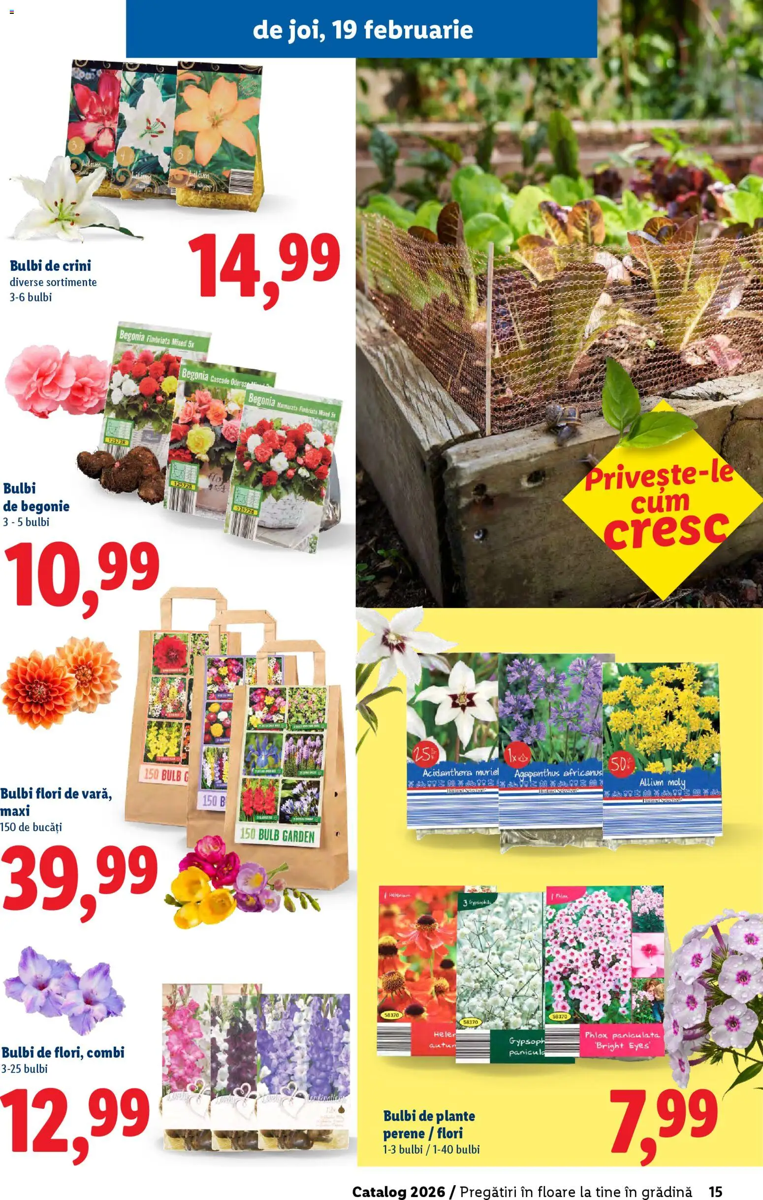 Catalog LIDL 19 Februarie - 4 Aprilie 2026 | Pagina 15
