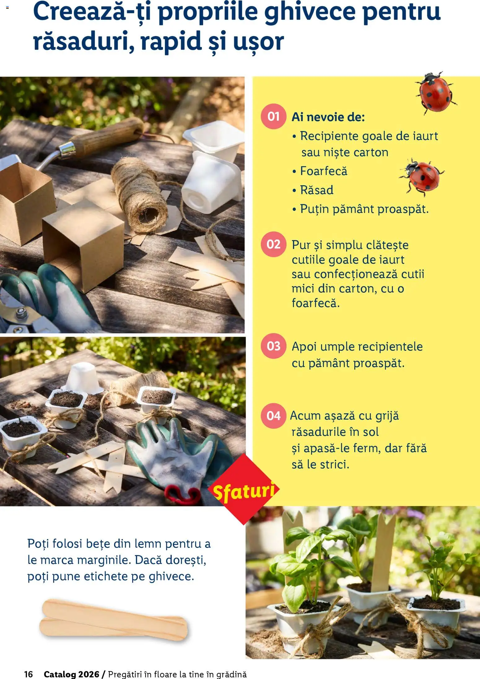 Catalog LIDL 19 Februarie - 4 Aprilie 2026 | Pagina 16 | Produse: Mici, Recipiente, Iaurt