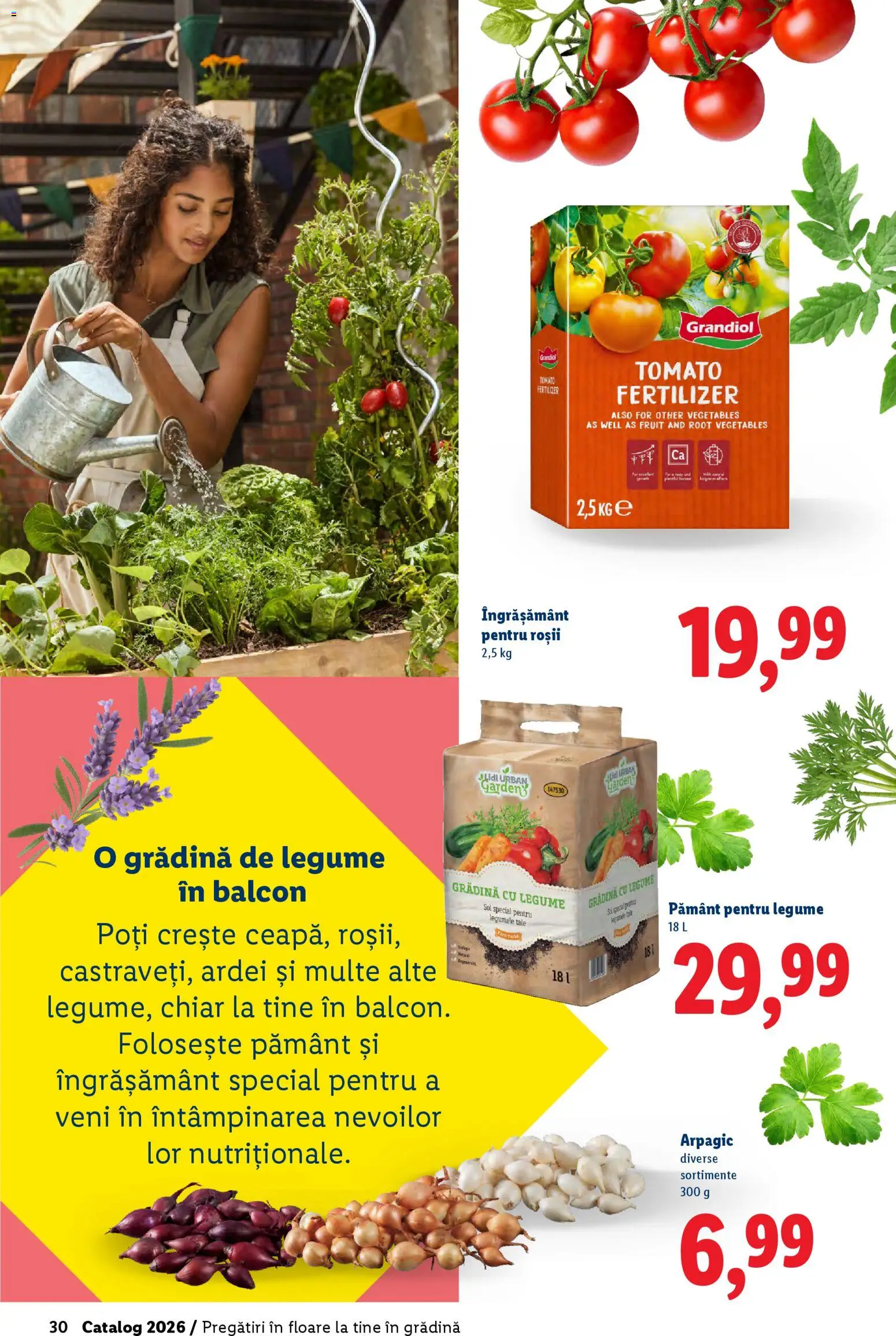 Catalog LIDL 19 Februarie - 4 Aprilie 2026 | Pagina 30 | Produse: Ardei, Roșii, Legume