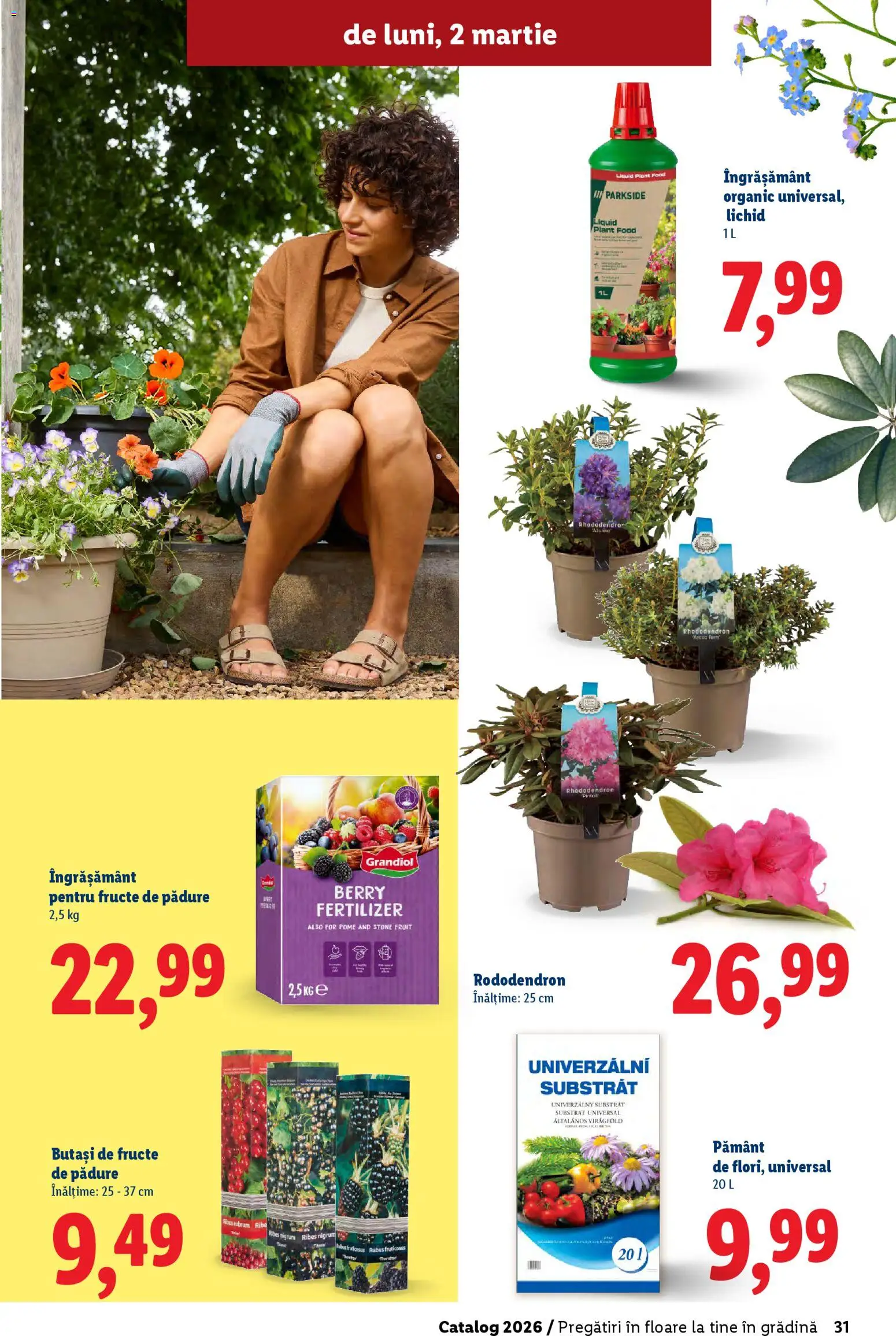 Catalog LIDL 19 Februarie - 4 Aprilie 2026 | Pagina 31 | Produse: Fructe