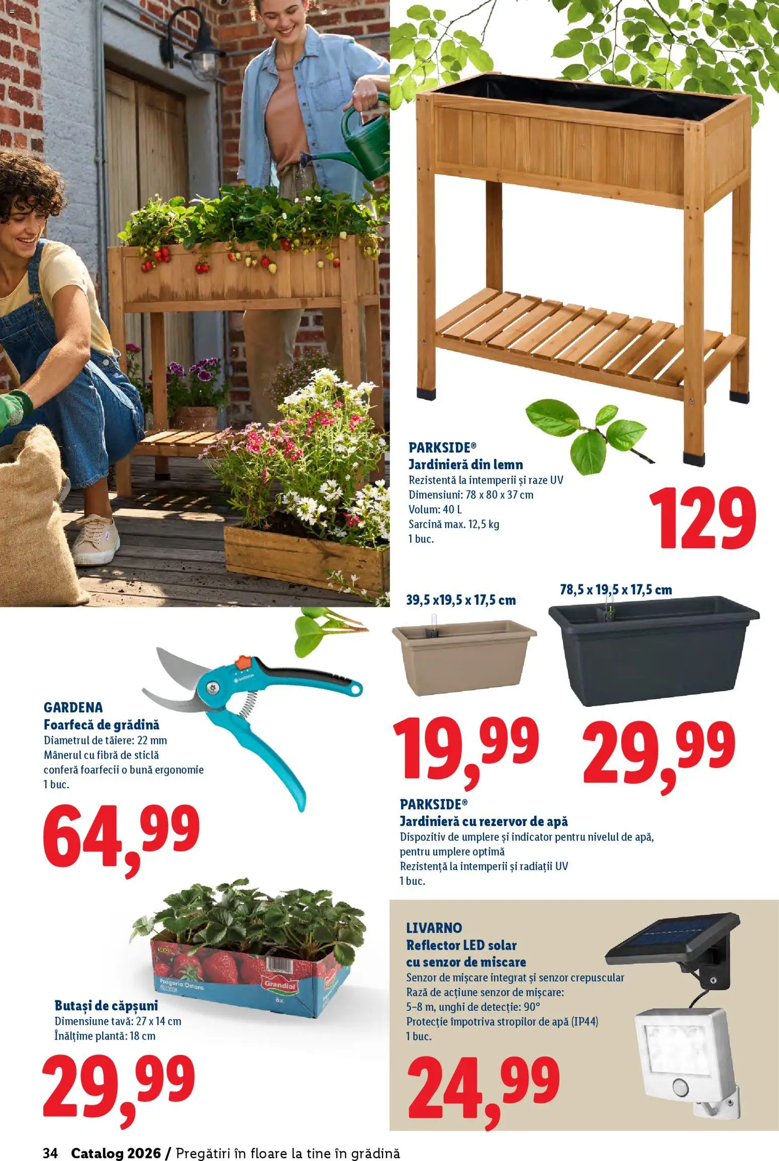 Catalog LIDL 19 Februarie - 4 Aprilie 2026 | Pagina 34 | Produse: T cetveli, Babak, Căpșuni, Apă