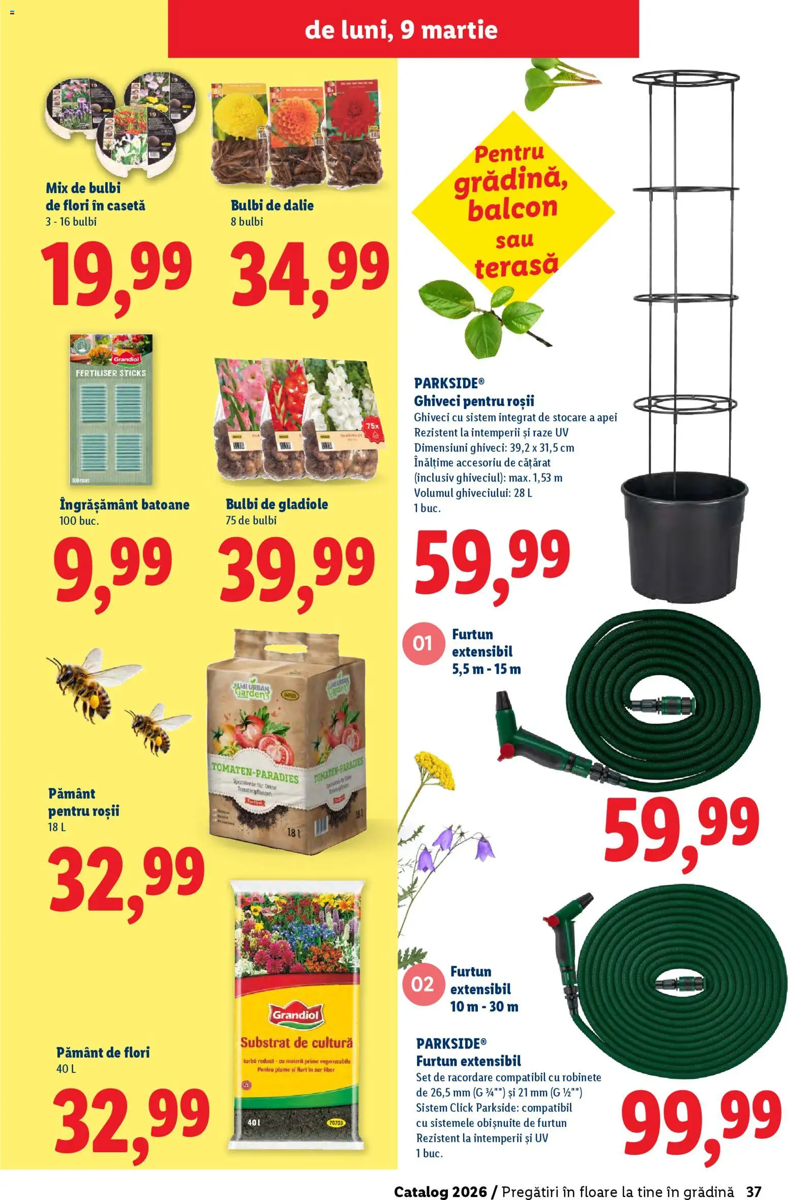 Catalog LIDL 19 Februarie - 4 Aprilie 2026 | Pagina 37 | Produse: Ghiveci, Roșii