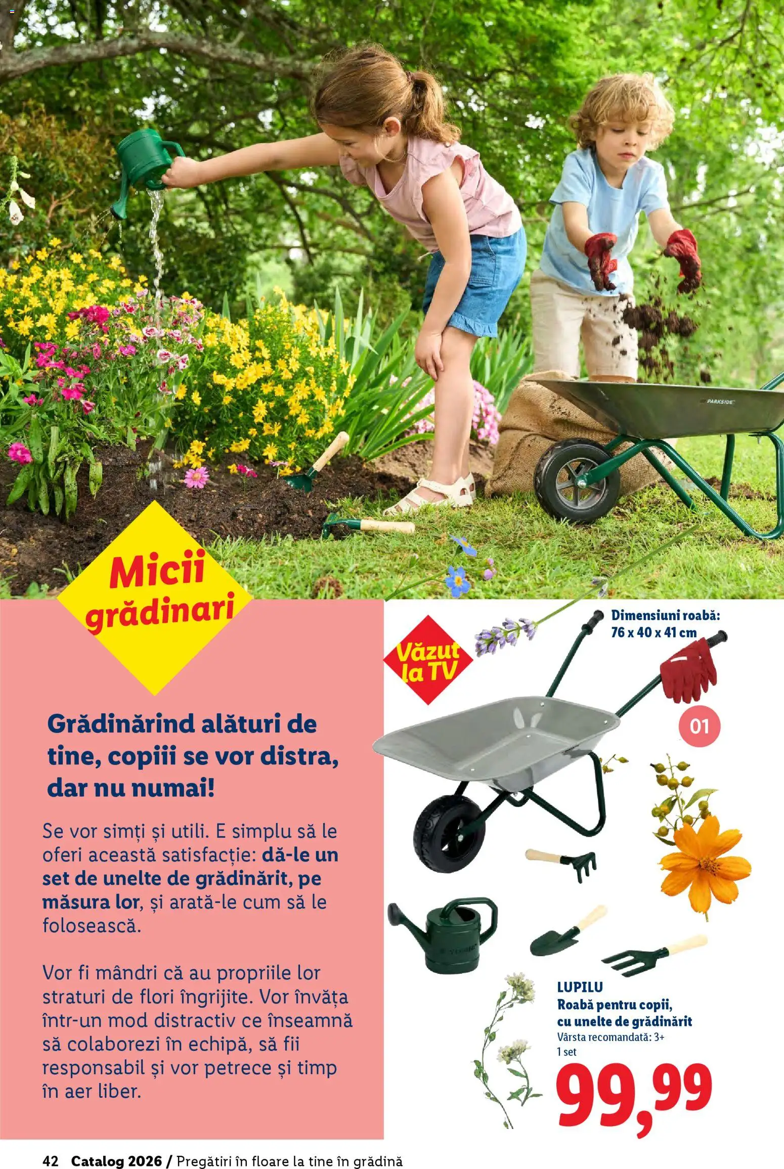 Catalog LIDL 19 Februarie - 4 Aprilie 2026 | Pagina 42 | Produse: Roabă, Dale