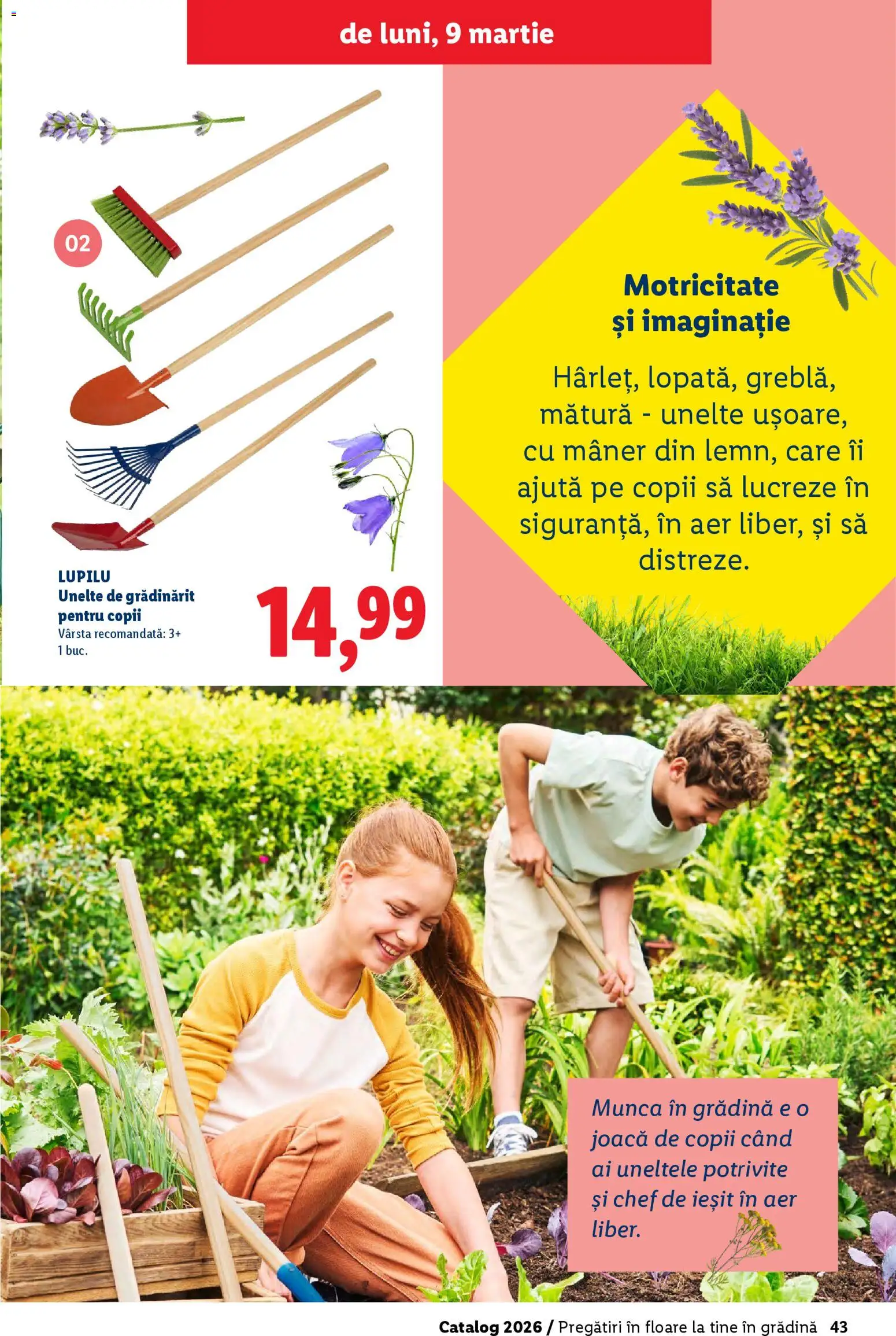 Catalog LIDL 19 Februarie - 4 Aprilie 2026 | Pagina 43 | Produse: Mătură, Mâner