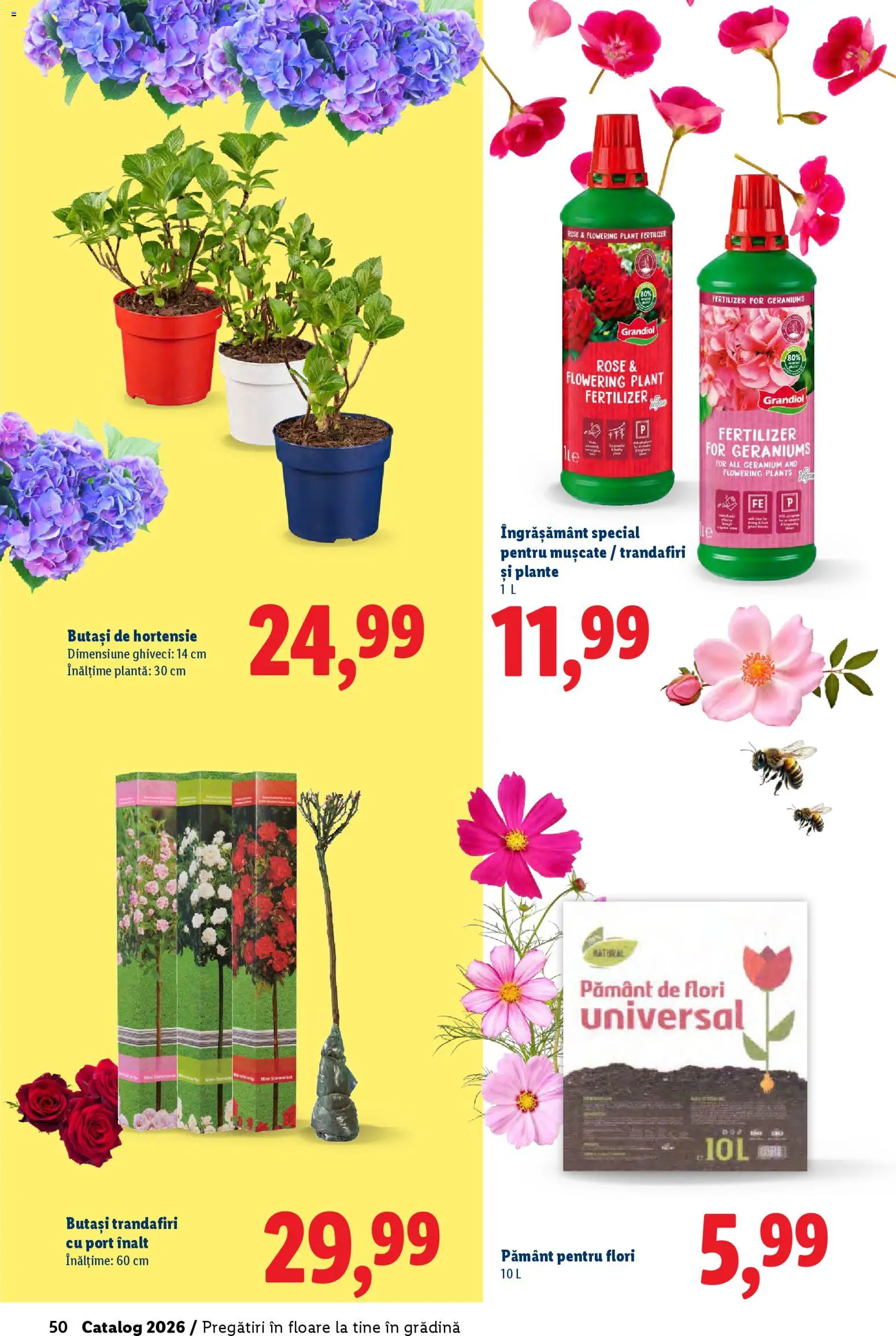 Catalog LIDL 19 Februarie - 4 Aprilie 2026 | Pagina 50 | Produse: Pământ pentru flori, Ghiveci