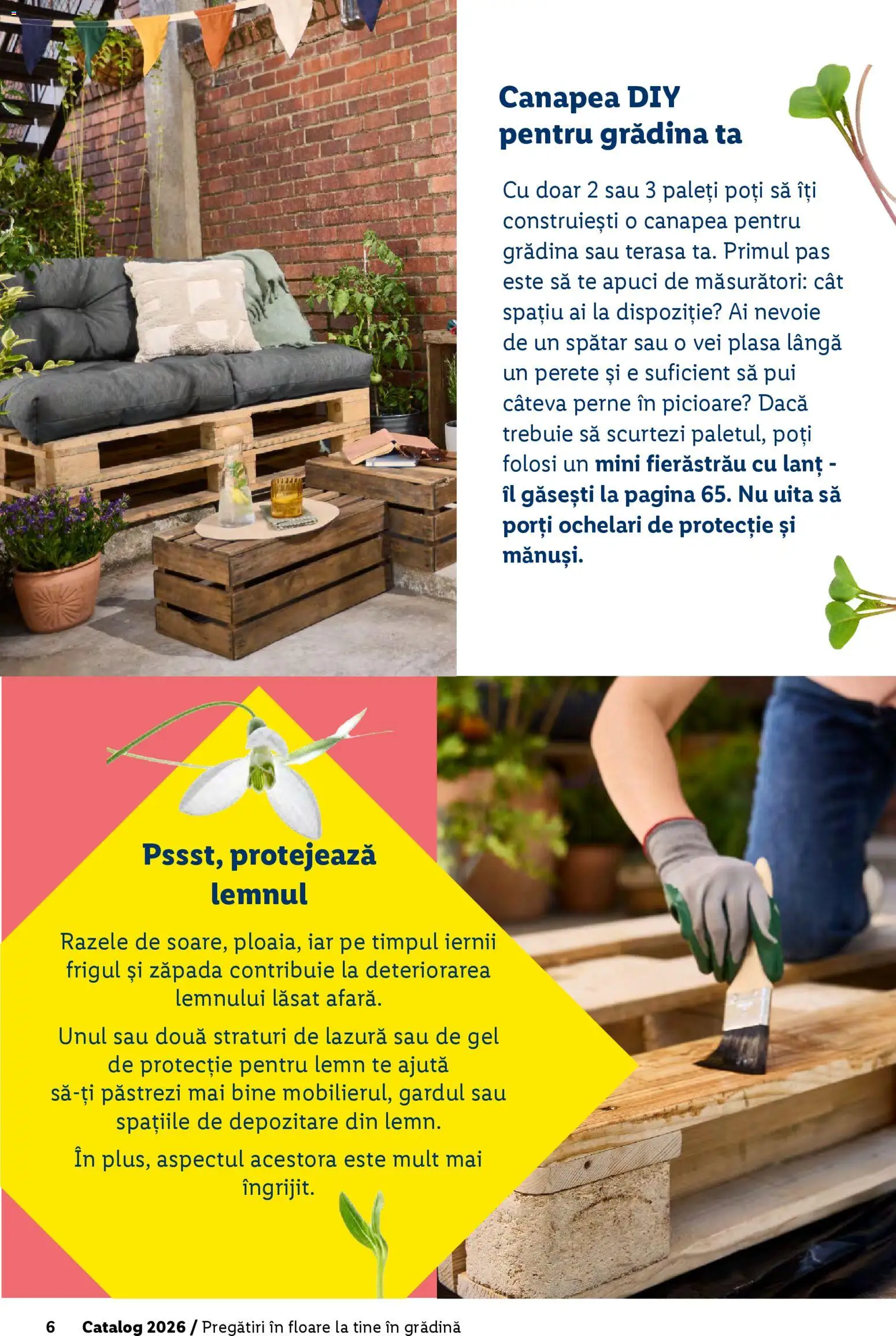 Catalog LIDL 19 Februarie - 4 Aprilie 2026 | Pagina 6 | Produse: Ochelari, Canapea, Hacıyatmaz Kedi Oyuncağı, Lazură