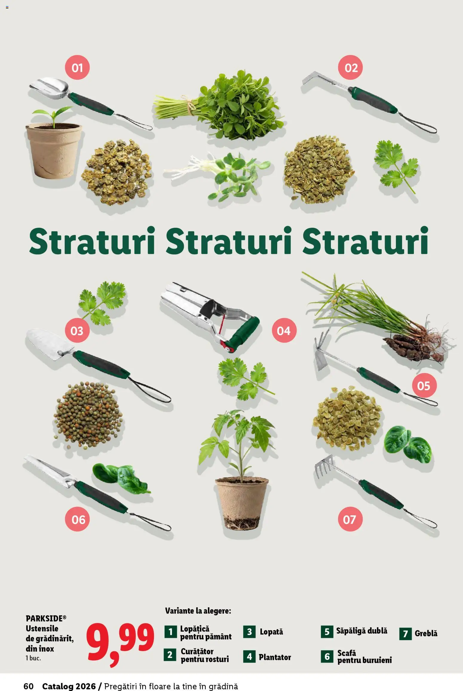 Catalog LIDL 19 Februarie - 4 Aprilie 2026 | Pagina 60