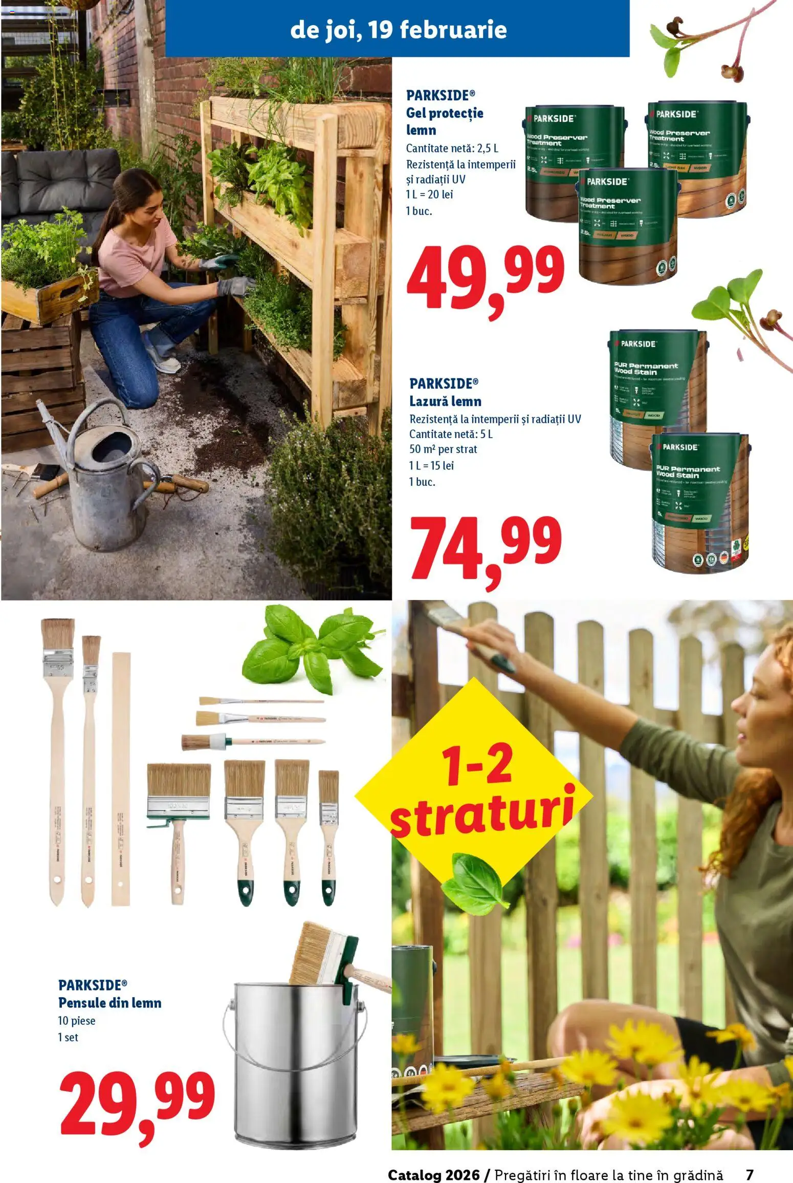 Catalog LIDL 19 Februarie - 4 Aprilie 2026 | Pagina 7 | Produse: Lazură