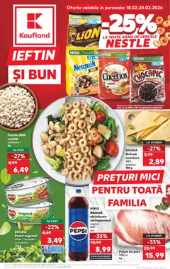 Catalog Kaufland