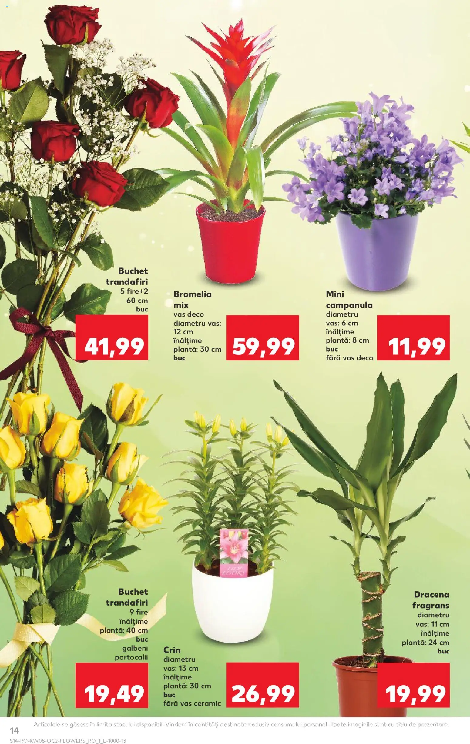 Catalog Kaufland 18 - 23 Februarie 2026 | Pagina 14 | Produse: Bromelia
