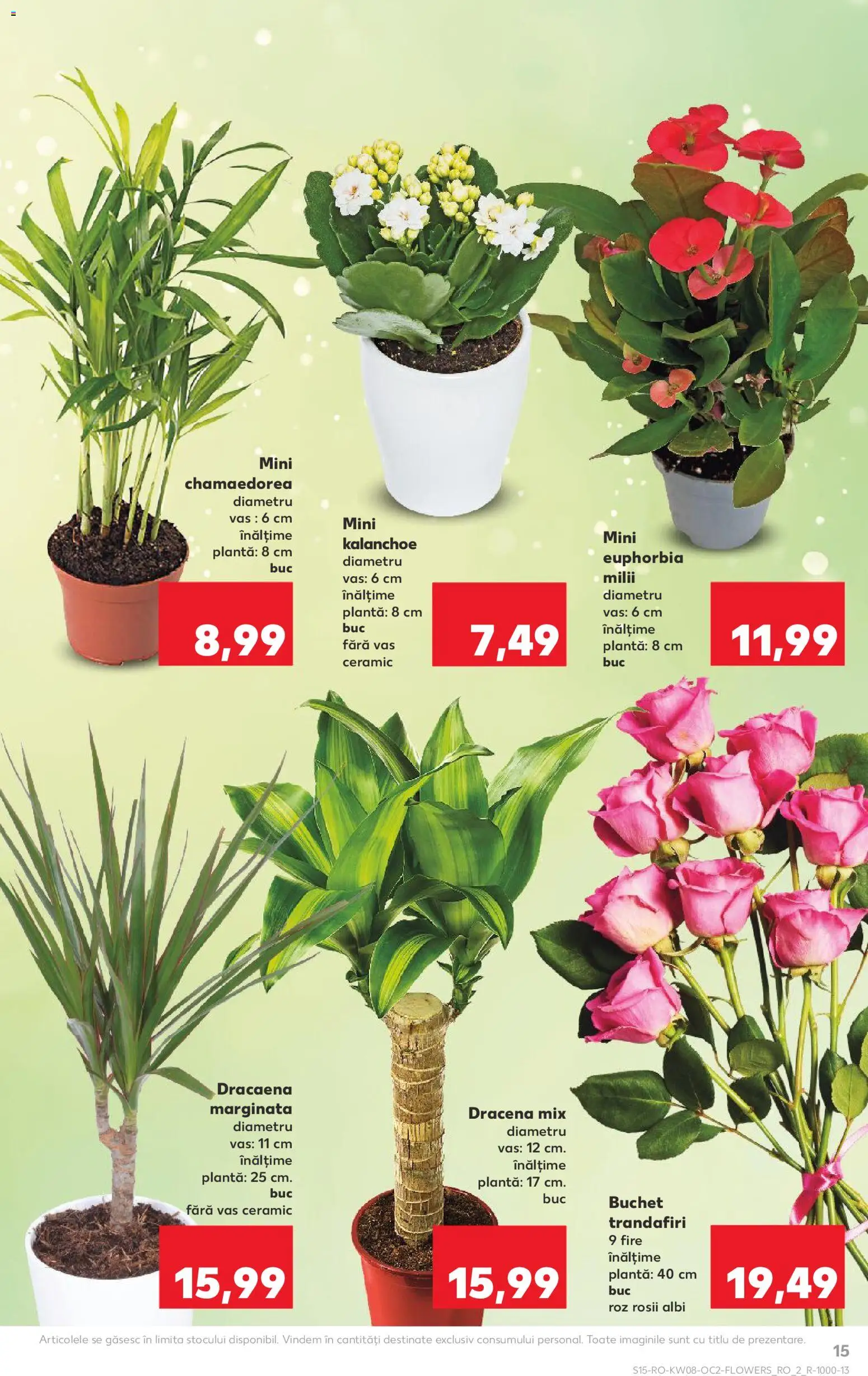 Catalog Kaufland 18 - 23 Februarie 2026 | Pagina 15 | Produse: Roșii
