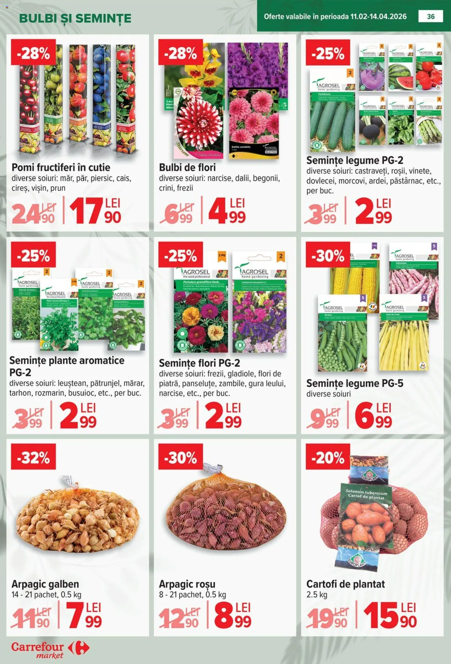Catalog Carrefour 18 - 23 Februarie 2026 | Pagina 37 | Produse: Semințe, Demirhindi, Cartofi, Legume