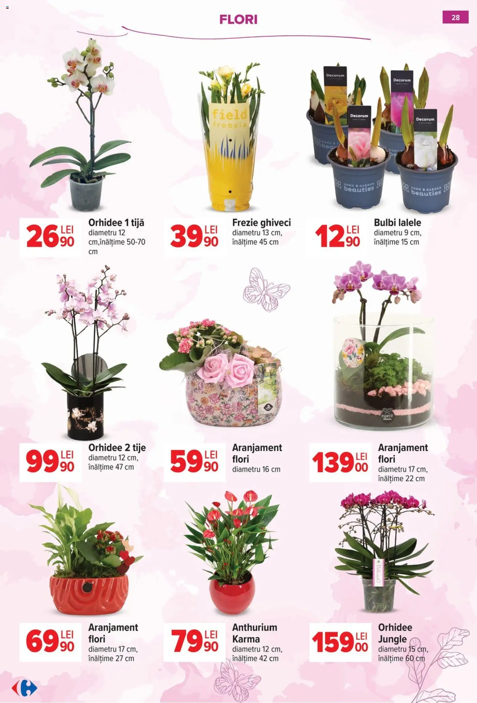Catalog Carrefour 18 Februarie - 7 Martie 2026 | Pagina 28 | Produse: Orhidee, Ghiveci