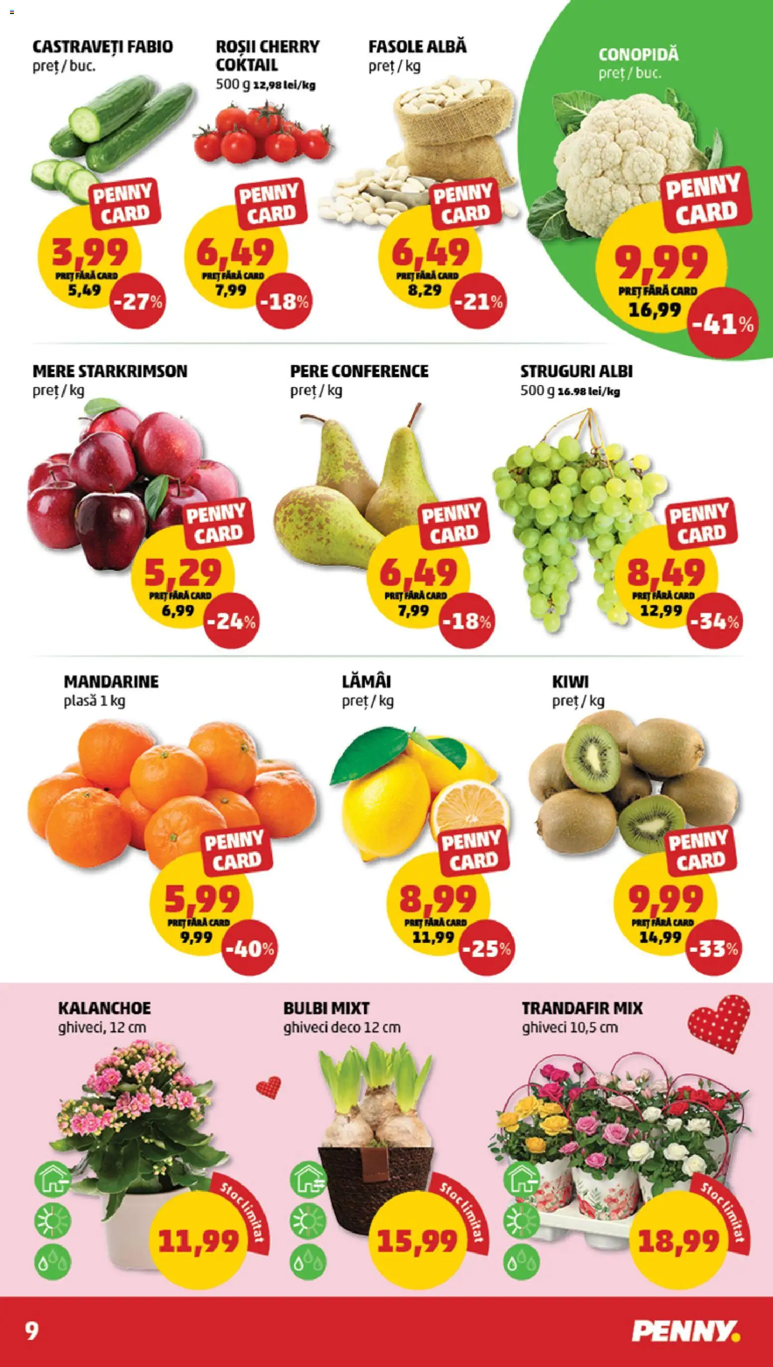Catalog PENNY Market 18 - 23 Februarie 2026 | Pagina 9 | Produse: Struguri, Ghiveci, Mere, Fasole albă