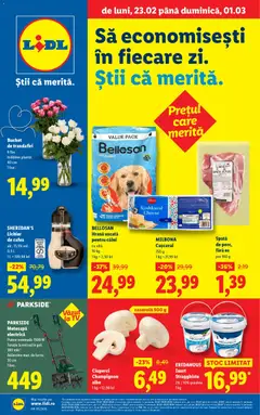 Catalog LIDL