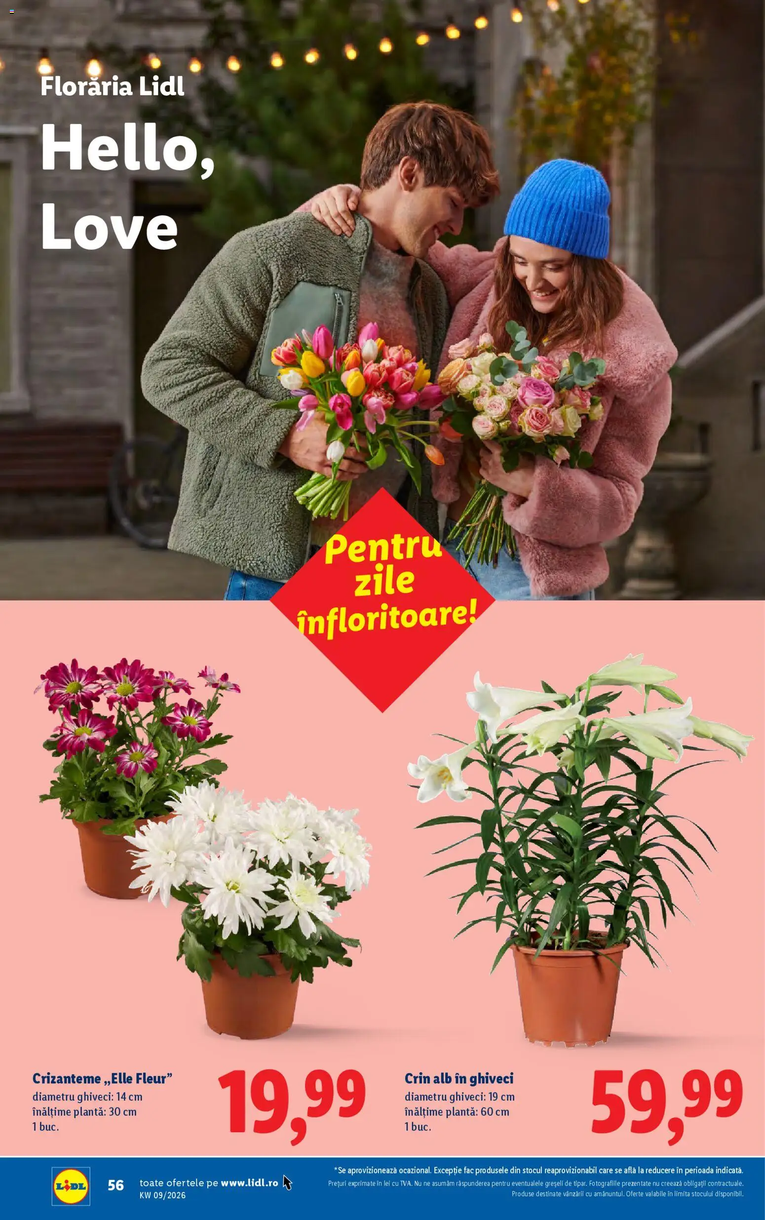 Catalog LIDL 23 - 28 Februarie 2026 | Pagina 56 | Produse: Ghiveci