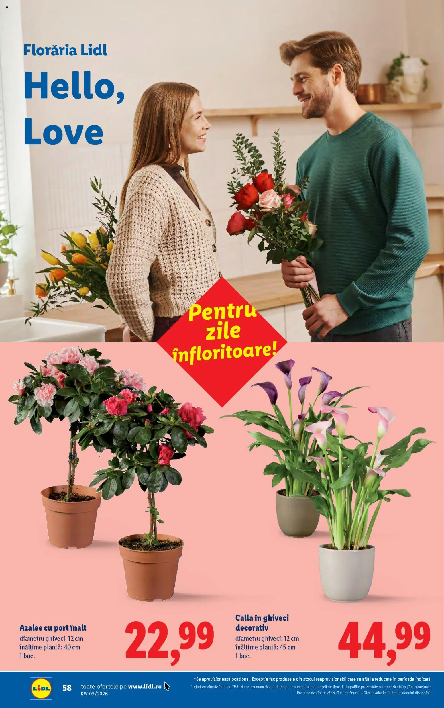 Catalog LIDL 23 - 28 Februarie 2026 | Pagina 58 | Produse: Ghiveci