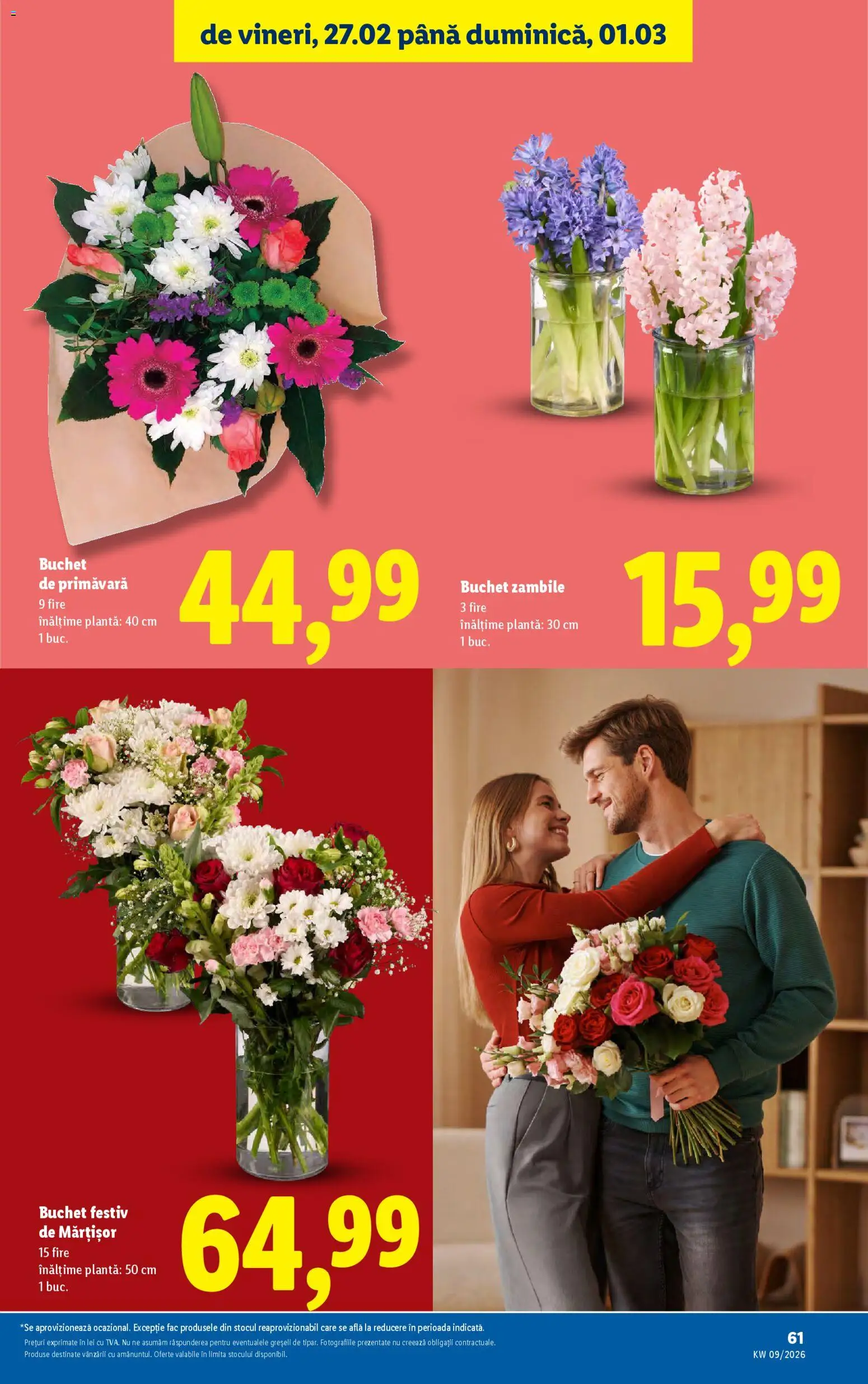 Catalog LIDL 23 - 28 Februarie 2026 | Pagina 61
