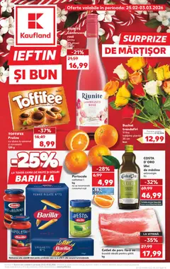 Catalog Kaufland