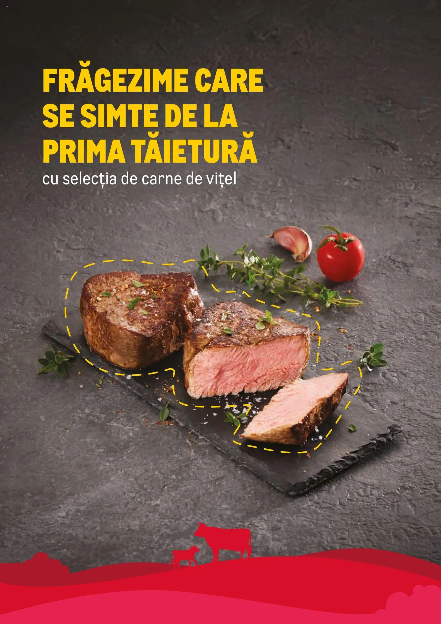 Catalog METRO 23 Februarie - 30 Decembrie 2026 | Pagina 10