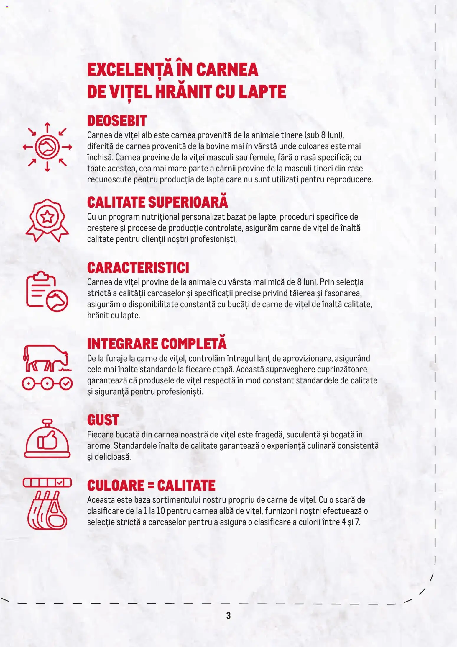 Catalog METRO 23 Februarie - 30 Decembrie 2026 | Pagina 3