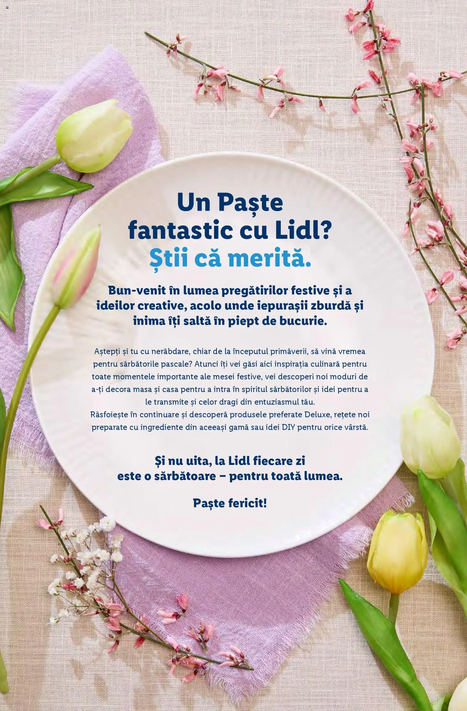 Catalog LIDL 2 Martie - 11 Aprilie 2026 | Pagina 2 | Produse: Masă, Paste