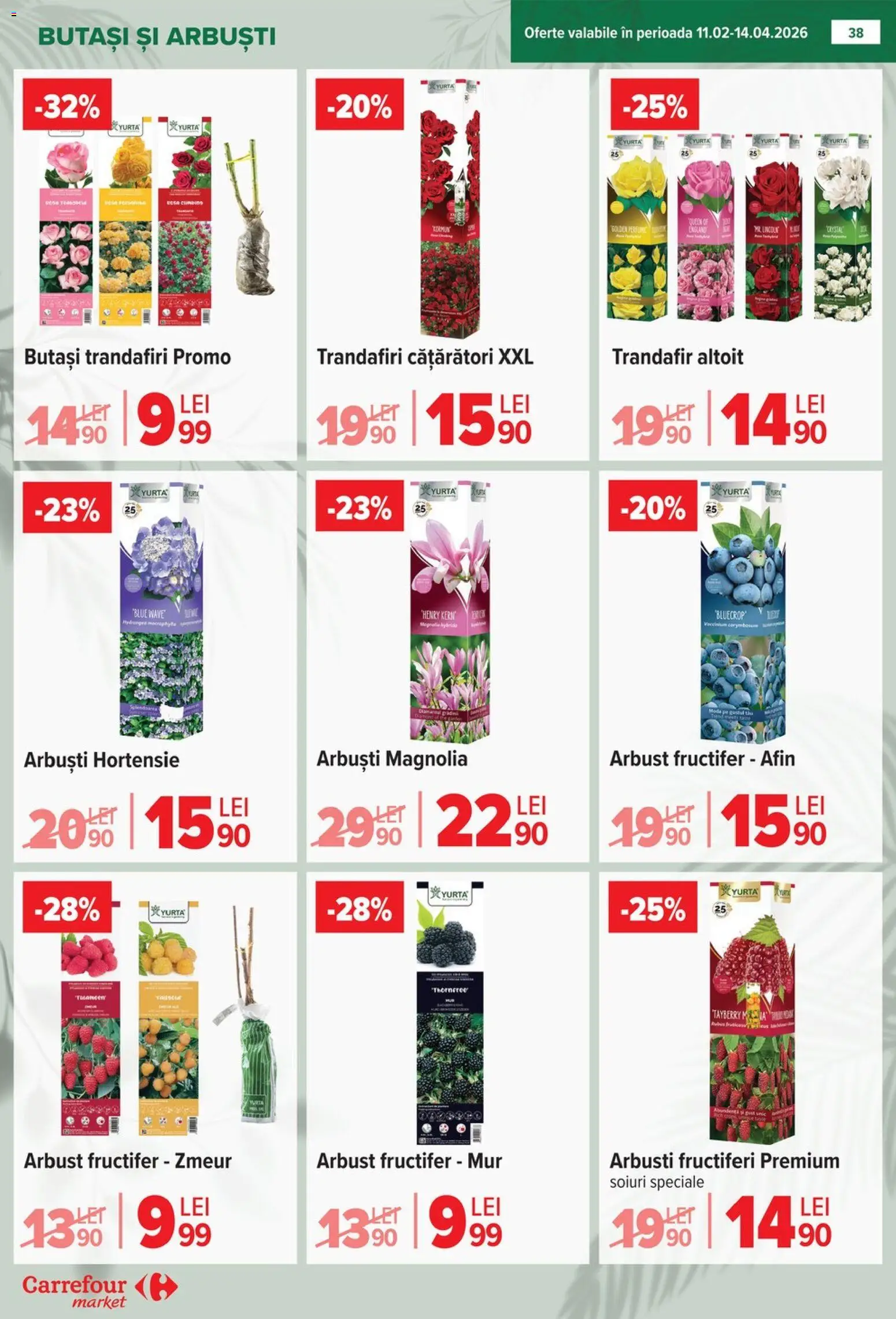 Catalog Carrefour 25 Februarie - 7 Martie 2026 | Pagina 40 | Produse: Trandafir