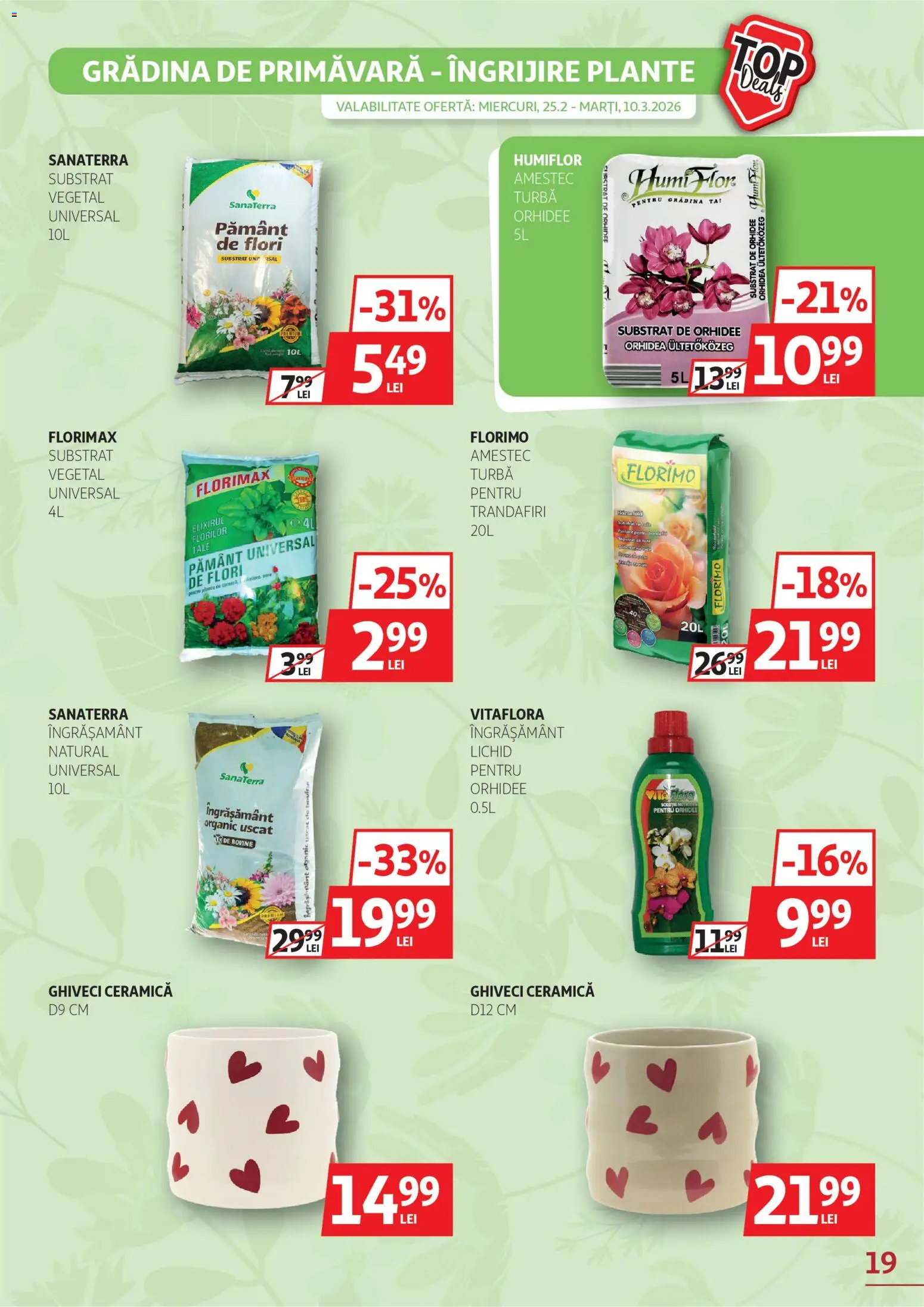 Catalog Auchan 25 Februarie - 9 Martie 2026 | Pagina 19 | Produse: Orhidee, Ghiveci, Unt