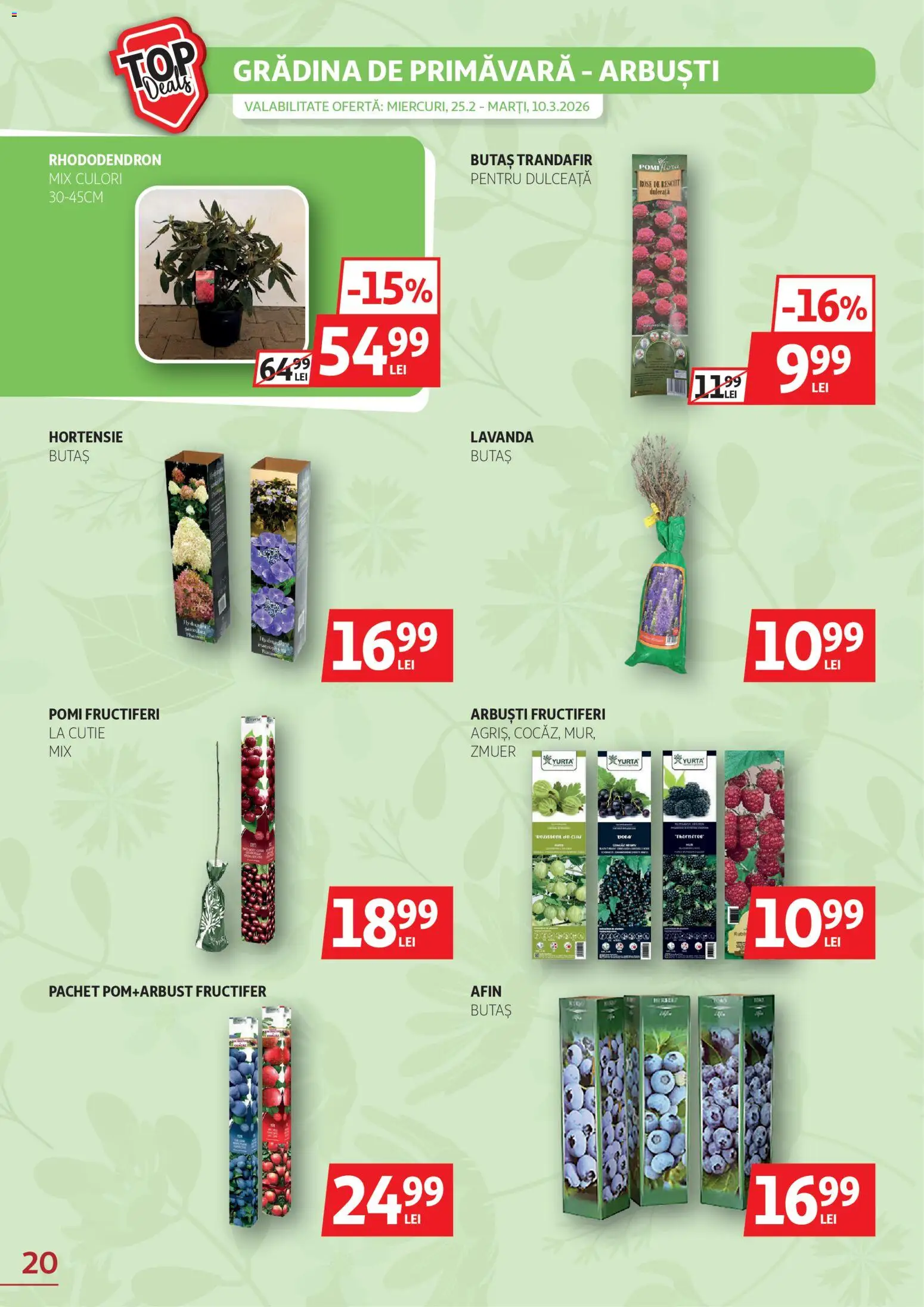 Catalog Auchan 25 Februarie - 9 Martie 2026 | Pagina 20 | Produse: Trandafir, Cutie