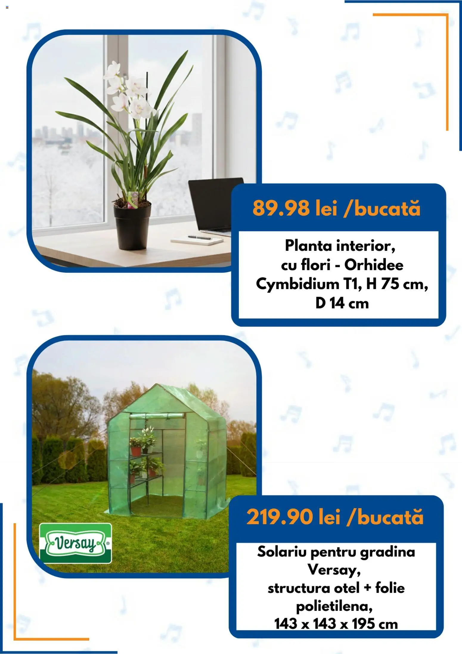 Catalog Dedeman 1 - 30 Martie 2026 | Pagina 3 | Produse: Orhidee