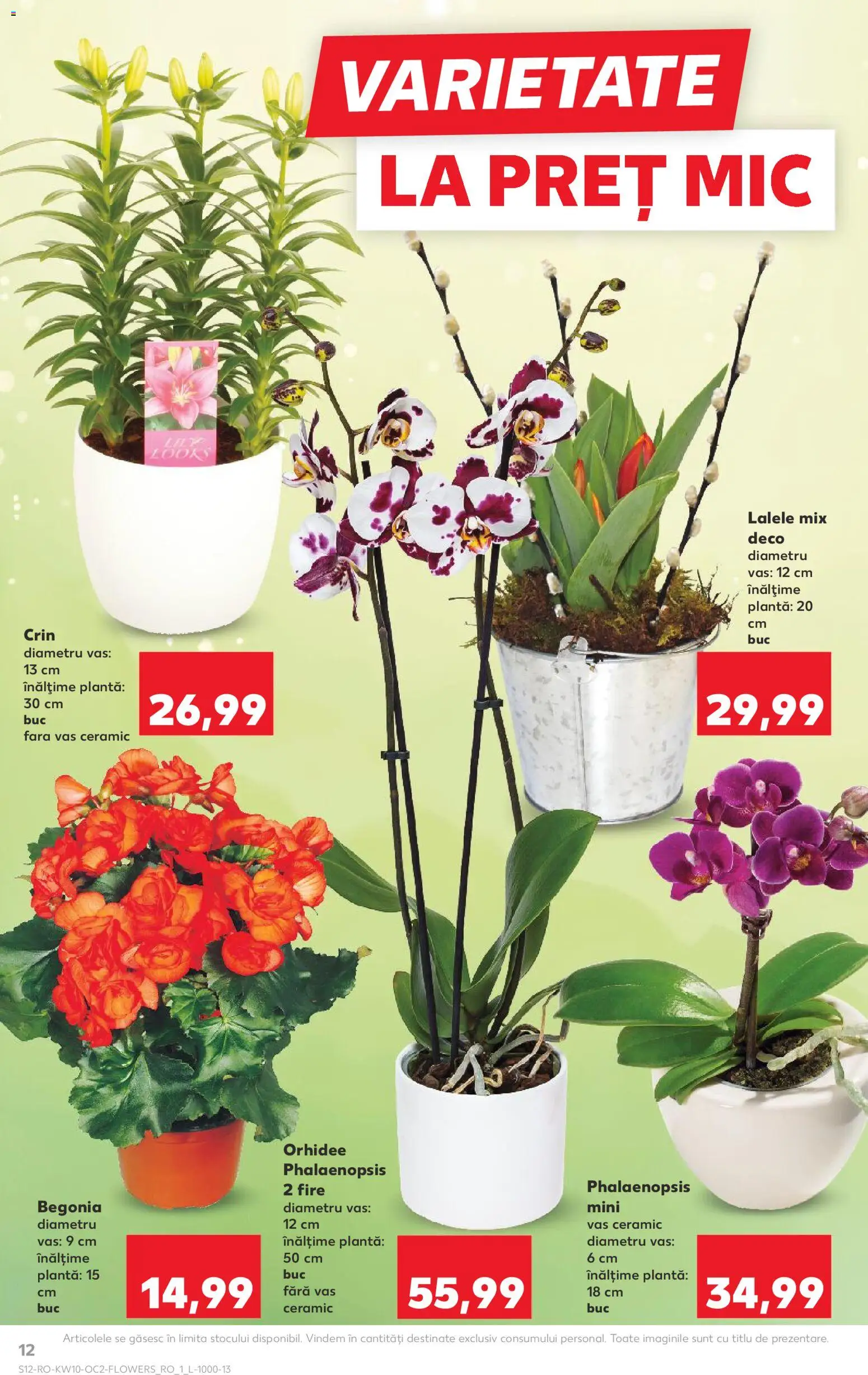 Catalog Kaufland 4 - 9 Martie 2026 | Pagina 12 | Produse: Orhidee
