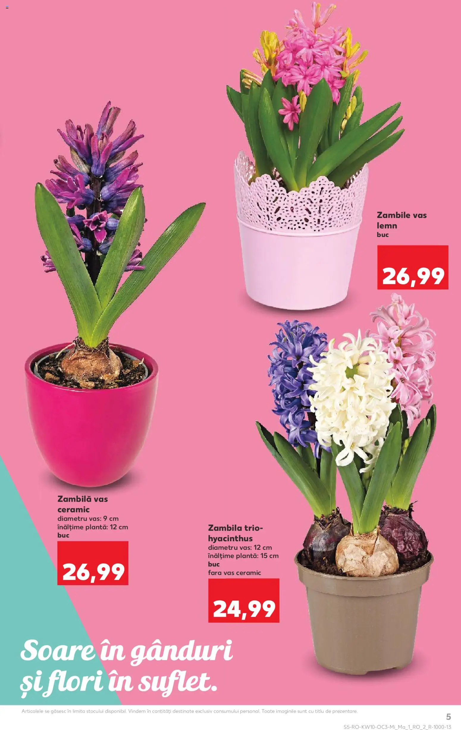 Catalog Kaufland 4 - 9 Martie 2026 | Pagina 5
