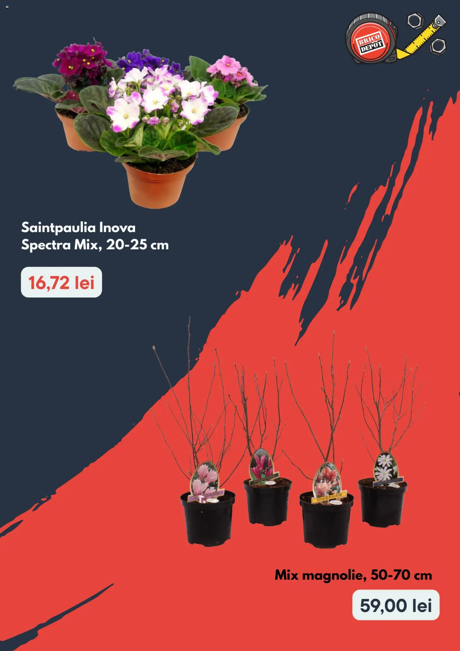 Catalog Brico Depot 5 - 17 Martie 2026 | Pagina 2