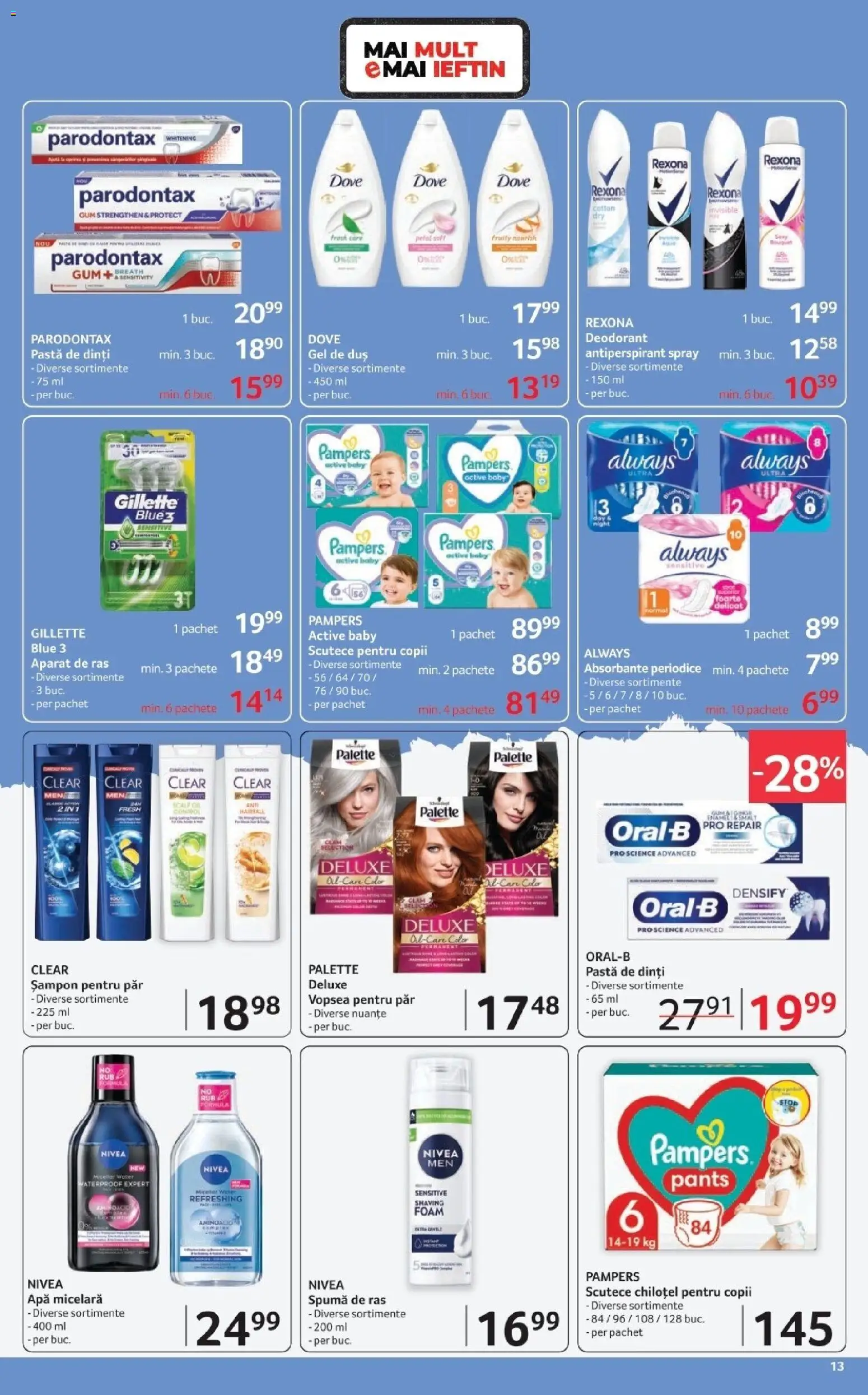 Catalog Selgros 6 - 18 Martie 2026 | Pagina 13 | Produse: Vopsea, Duș, Pastă de dinți, Apă